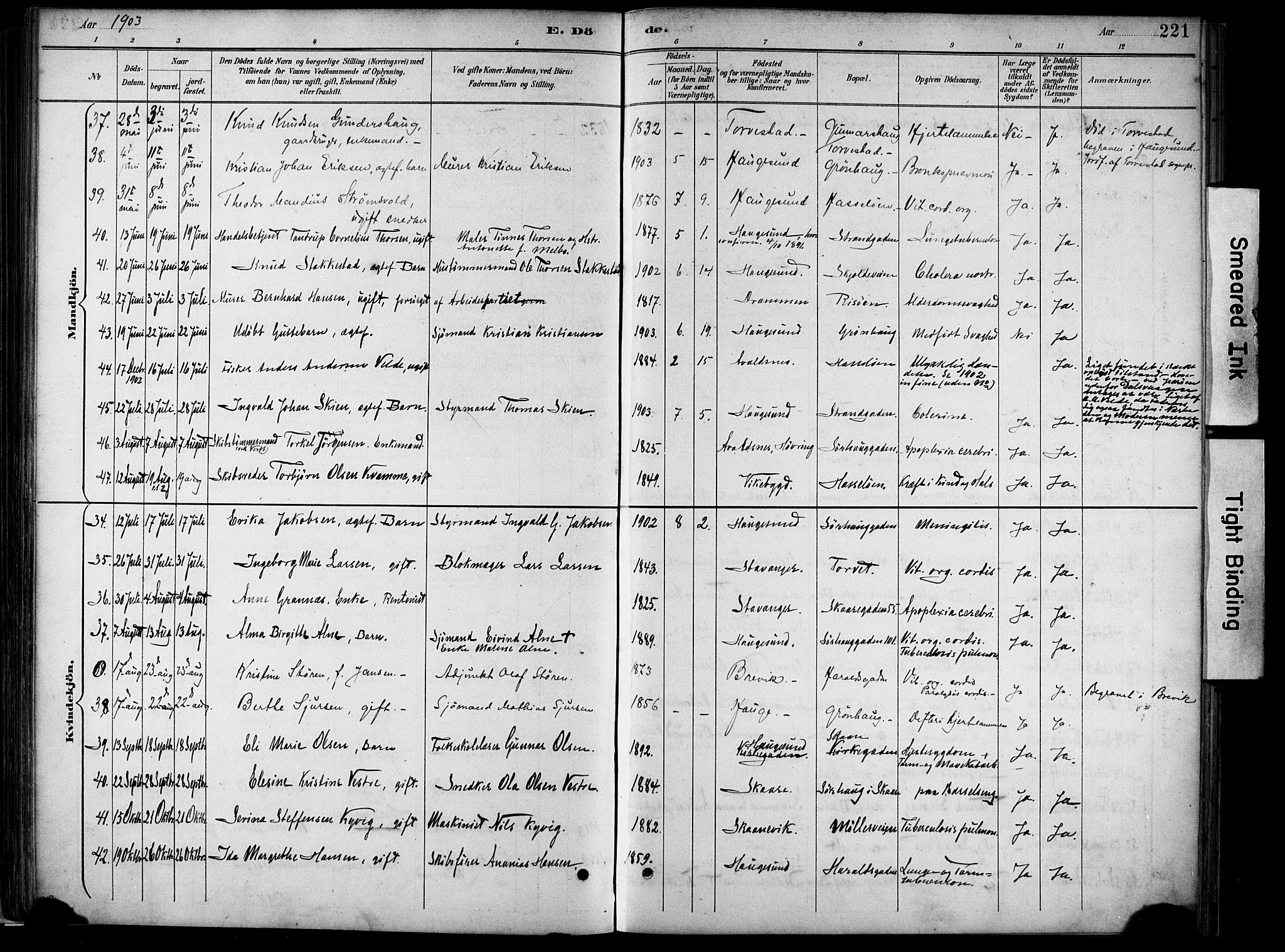 Haugesund sokneprestkontor, AV/SAST-A -101863/H/Ha/Haa/L0005: Parish register (official) no. A 5, 1891-1903, p. 221
