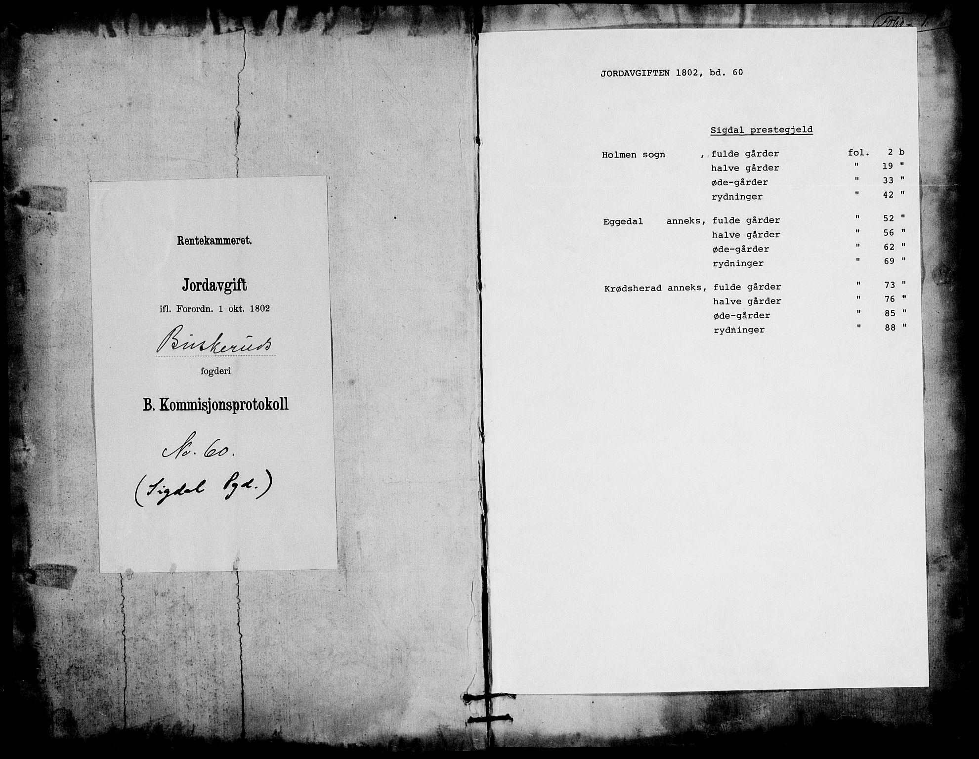 Rentekammeret inntil 1814, Realistisk ordnet avdeling, AV/RA-EA-4070/N/Ne/Nea/L0060: Buskerud fogderi. Kommisjonsprotokoll for Sigdal prestegjeld, 1803, p. 1