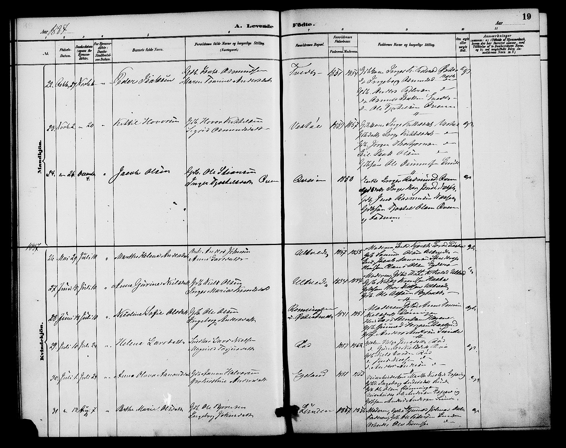 Gjerstad sokneprestkontor, AV/SAK-1111-0014/F/Fa/Faa/L0009: Parish register (official) no. A 9, 1885-1890, p. 19