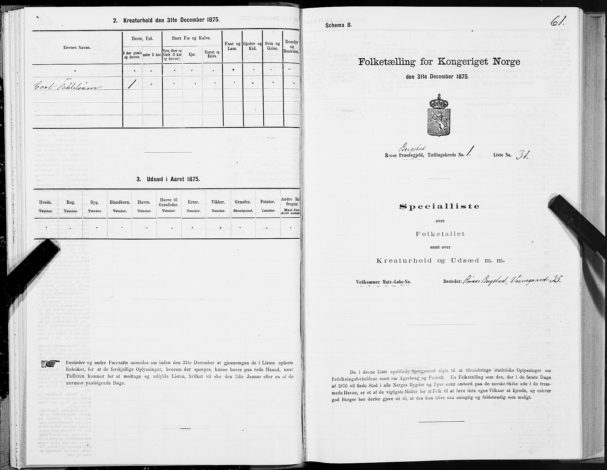 SAT, 1875 census for 1640P Røros, 1875, p. 1061