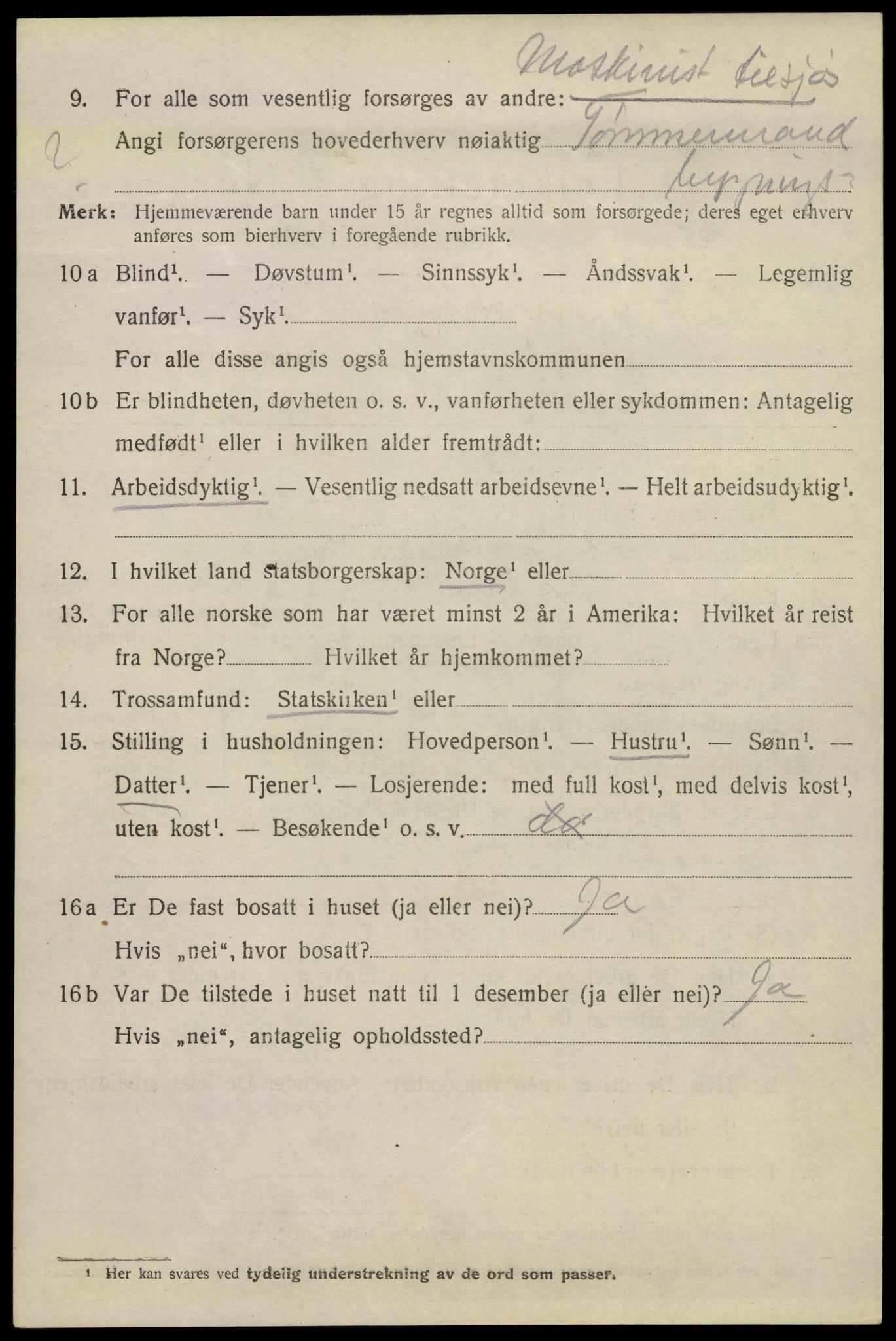 SAKO, 1920 census for Kragerø, 1920, p. 9994