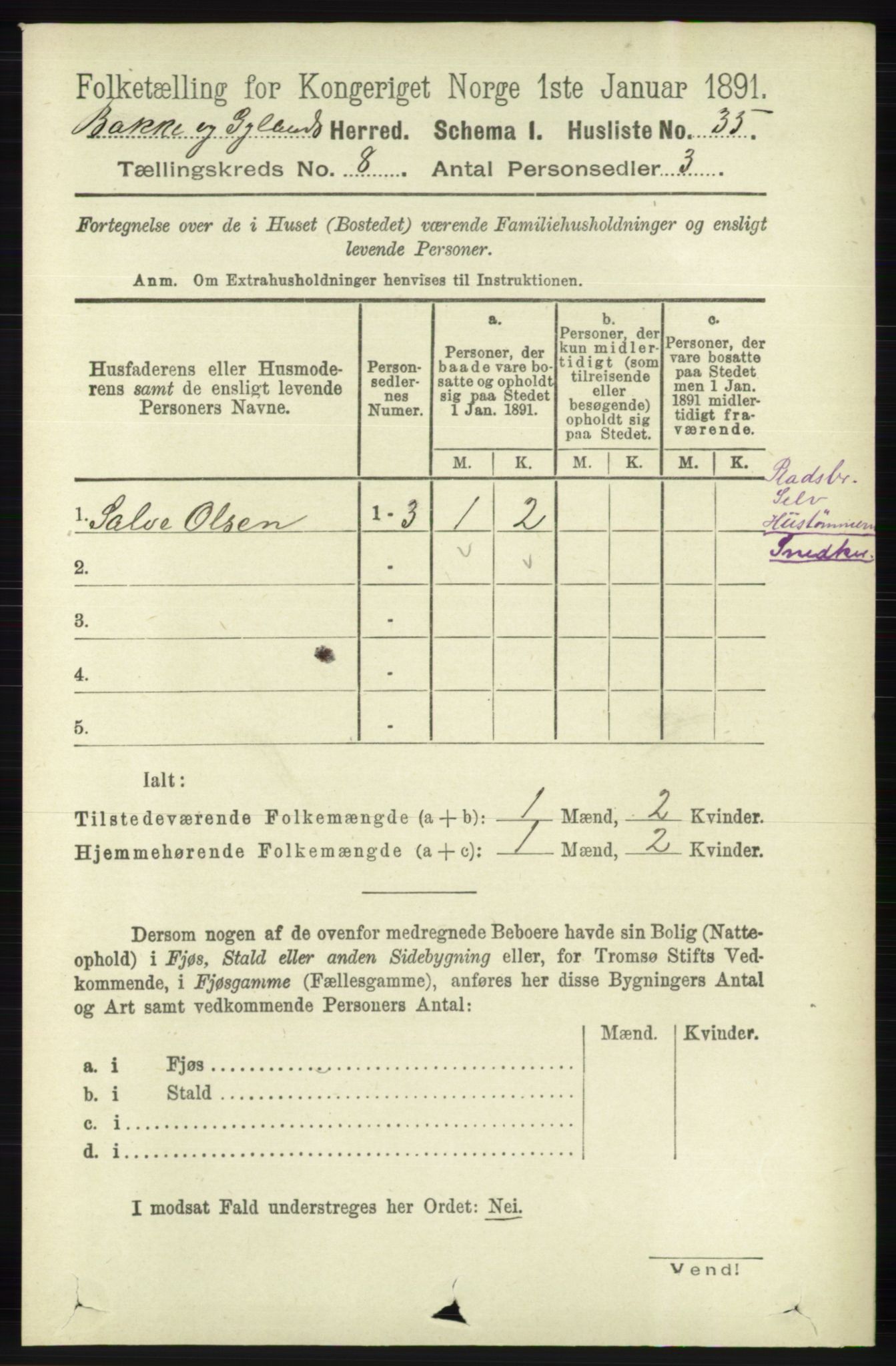 RA, 1891 census for 1045 Bakke, 1891, p. 1478