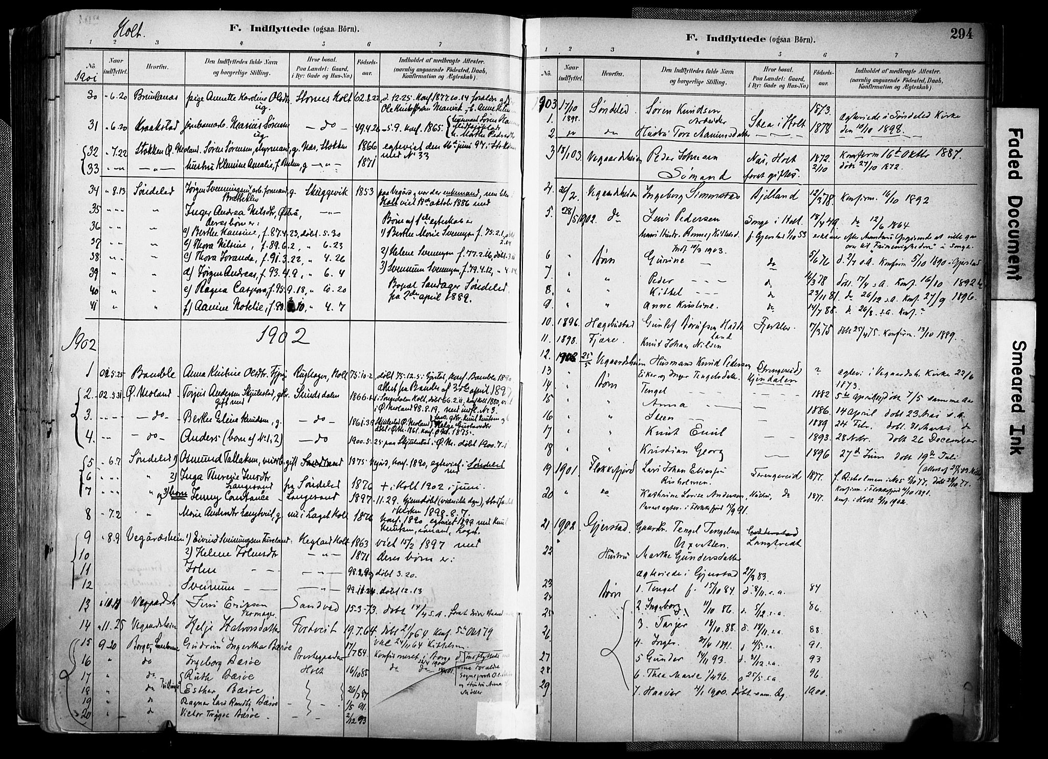 Holt sokneprestkontor, AV/SAK-1111-0021/F/Fa/L0012: Parish register (official) no. A 12, 1885-1907, p. 294