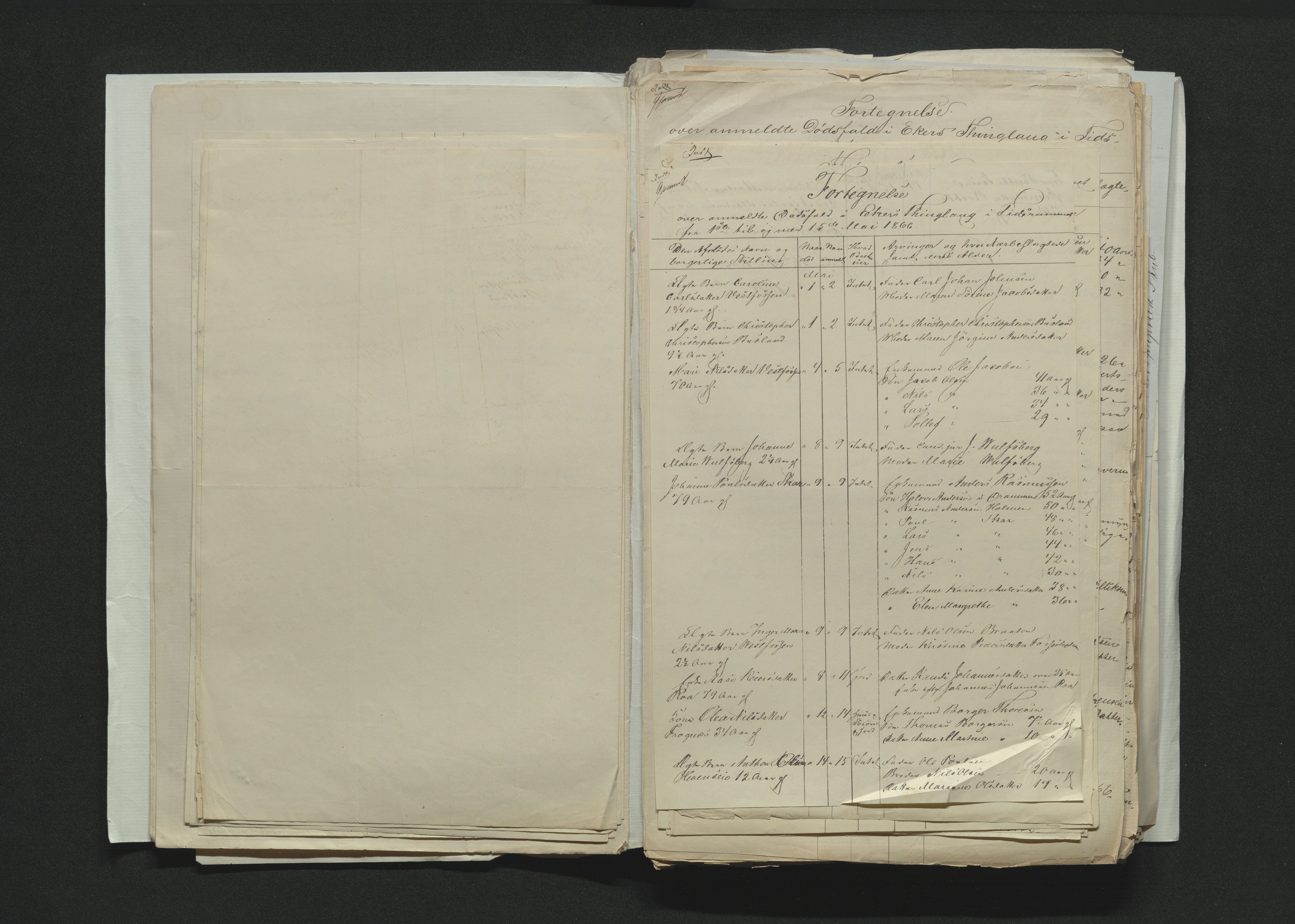 Eiker, Modum og Sigdal sorenskriveri, AV/SAKO-A-123/H/Ha/Hab/L0012: Dødsfallsmeldinger, 1866-1869, p. 24
