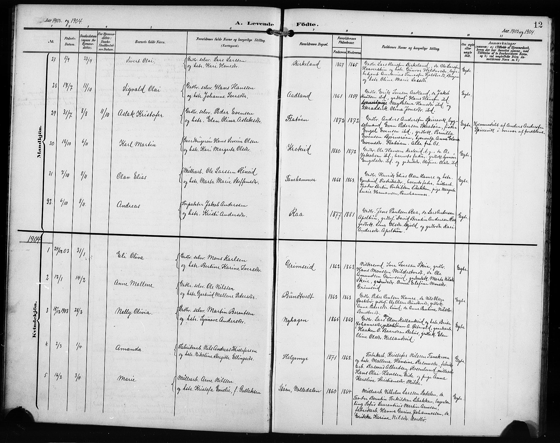 Fana Sokneprestembete, AV/SAB-A-75101/H/Hab/Haba/L0004: Parish register (copy) no. A 4, 1902-1912, p. 12