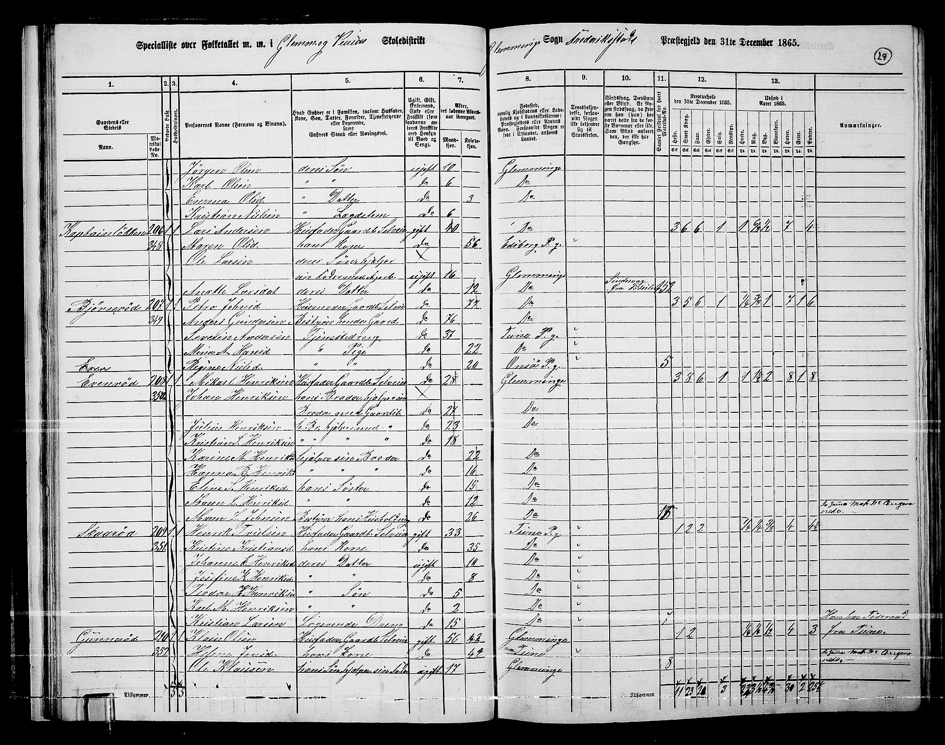 RA, 1865 census for Fredrikstad/Glemmen, 1865, p. 31