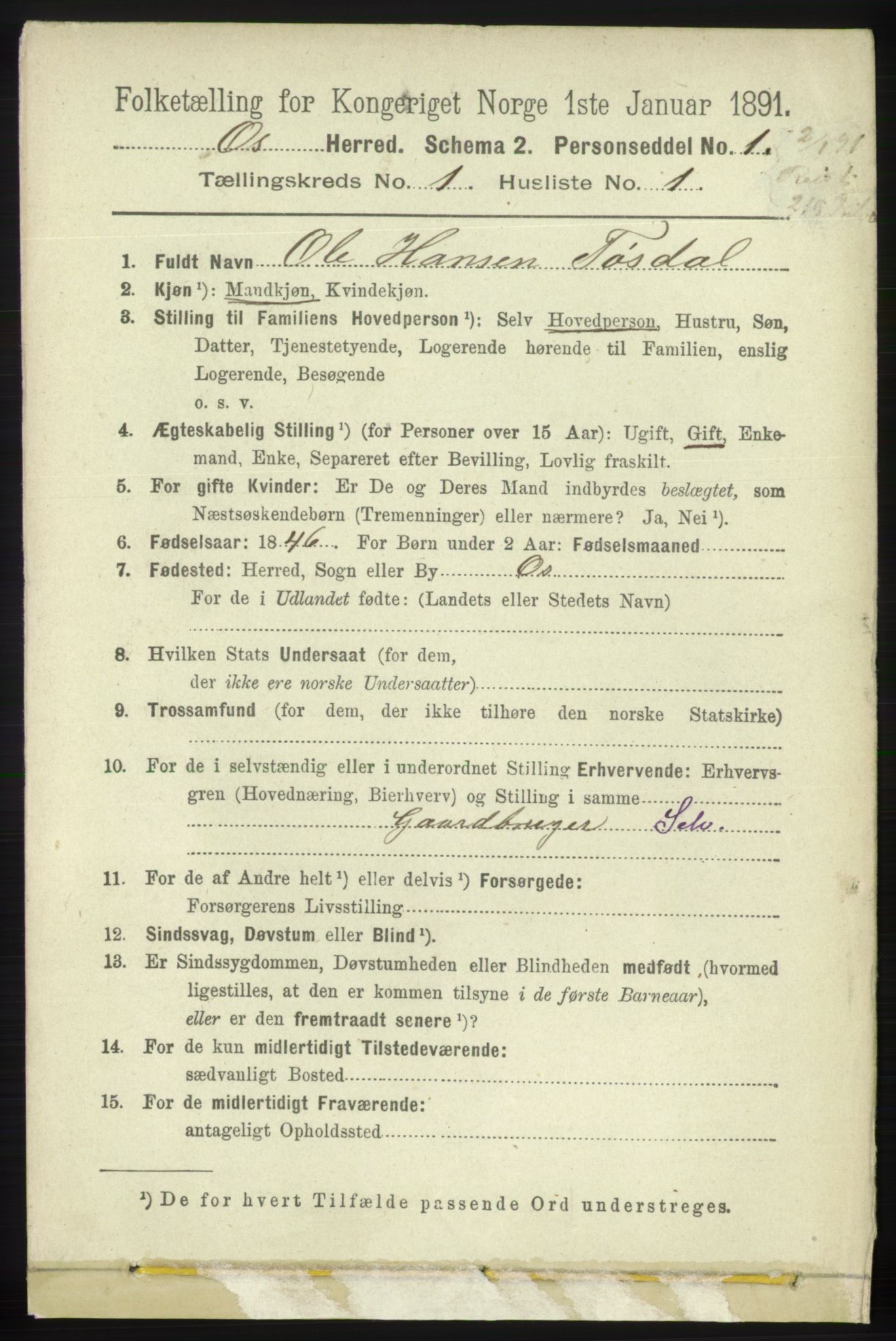 RA, 1891 census for 1243 Os, 1891, p. 85