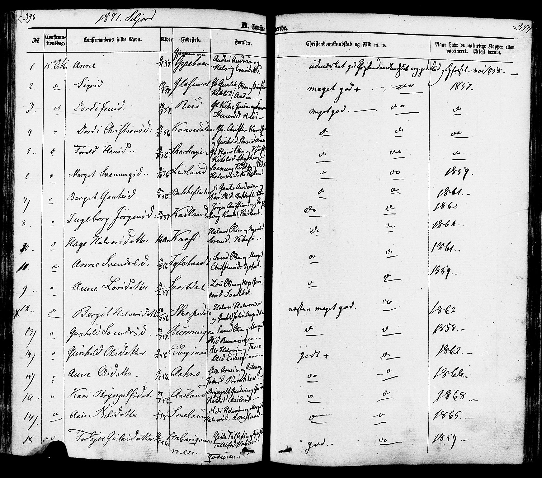 Seljord kirkebøker, AV/SAKO-A-20/F/Fa/L0013: Parish register (official) no. I 13, 1866-1876, p. 396-397
