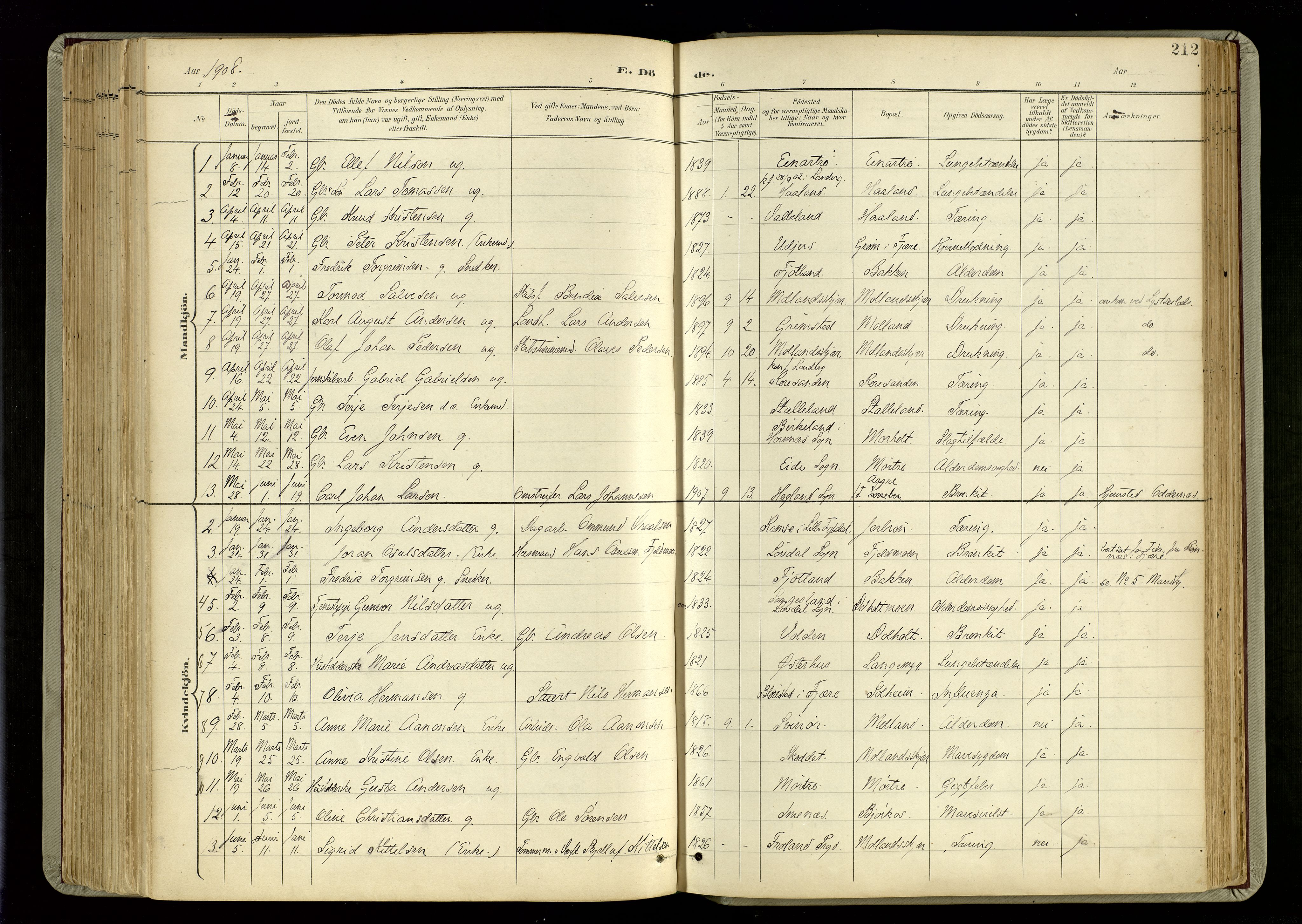 Hommedal sokneprestkontor, AV/SAK-1111-0023/F/Fa/Fab/L0007: Parish register (official) no. A 7, 1898-1924, p. 212