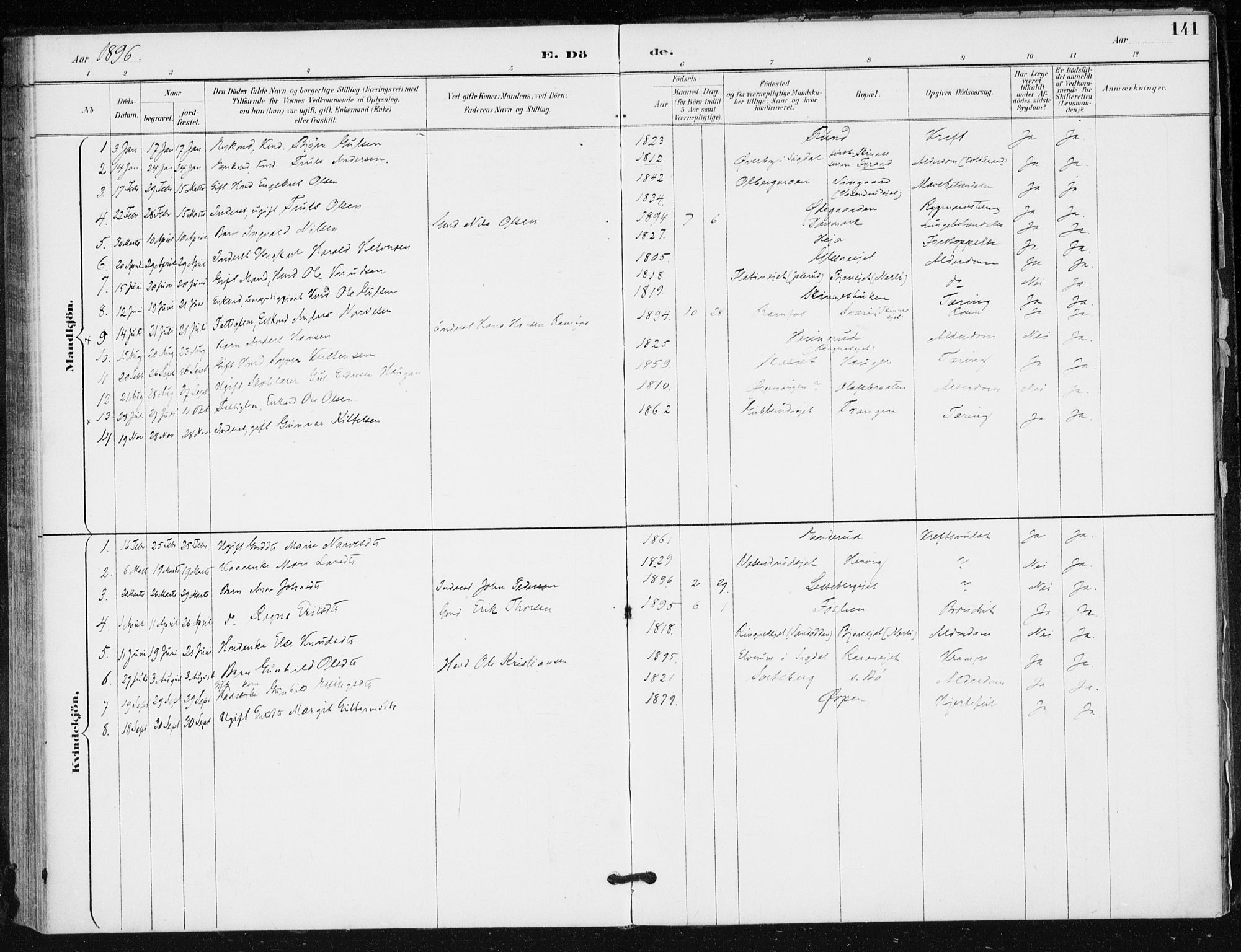 Krødsherad kirkebøker, SAKO/A-19/F/Fa/L0006: Parish register (official) no. 6, 1889-1899, p. 141