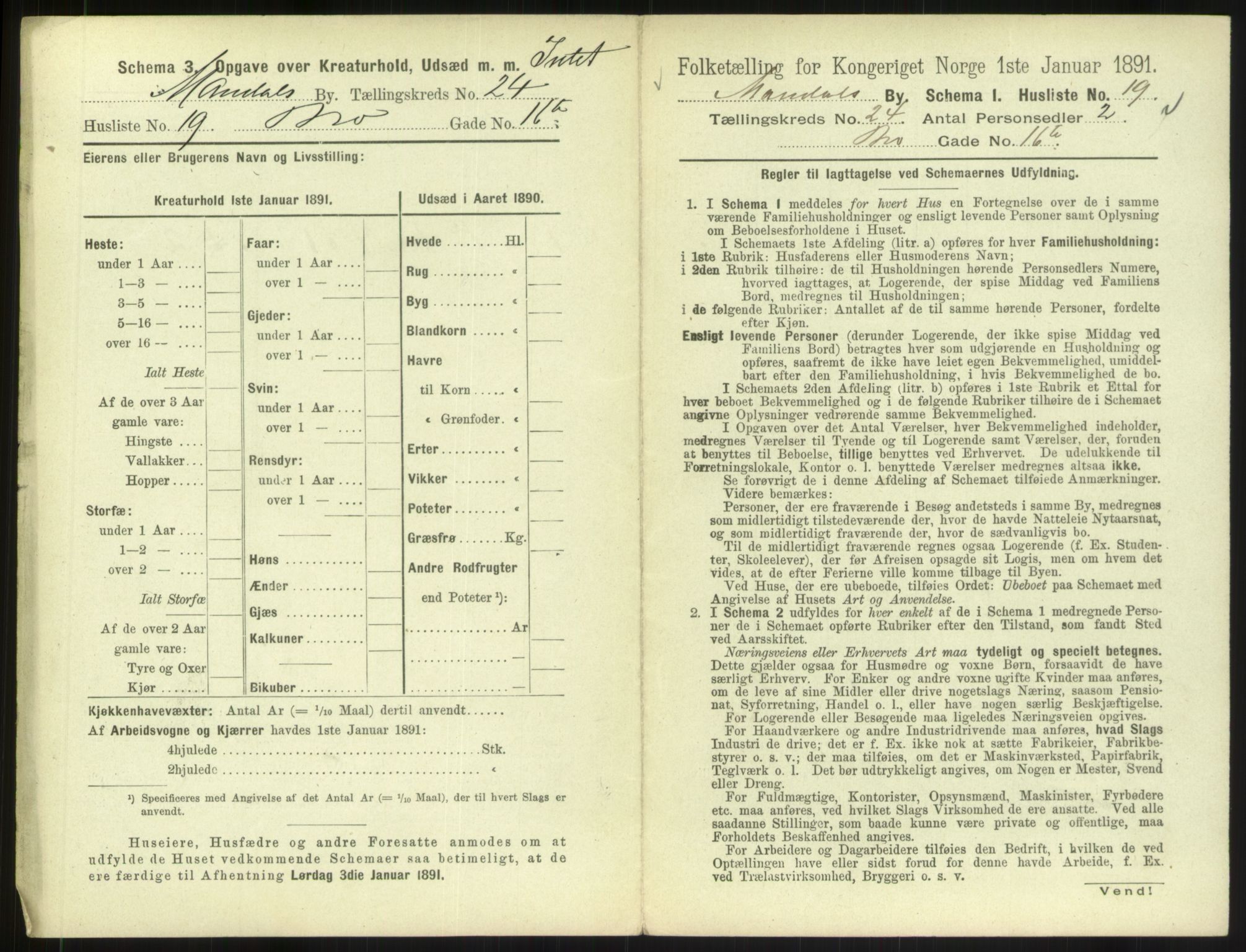 RA, 1891 census for 1002 Mandal, 1891, p. 1101