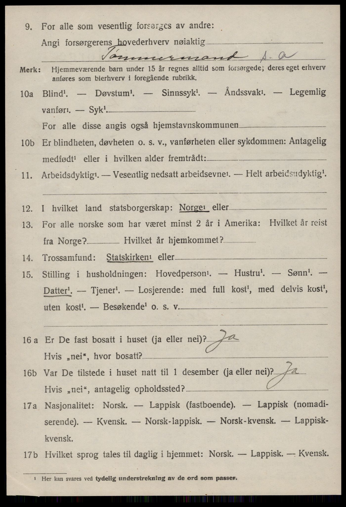 SAT, 1920 census for Hemne, 1920, p. 3985