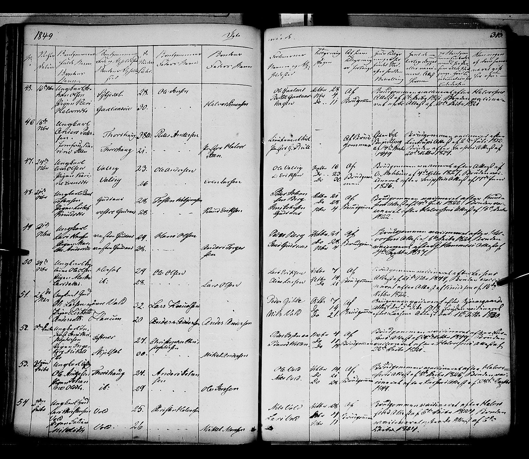 Vang prestekontor, Hedmark, SAH/PREST-008/H/Ha/Haa/L0010: Parish register (official) no. 10, 1841-1855, p. 313