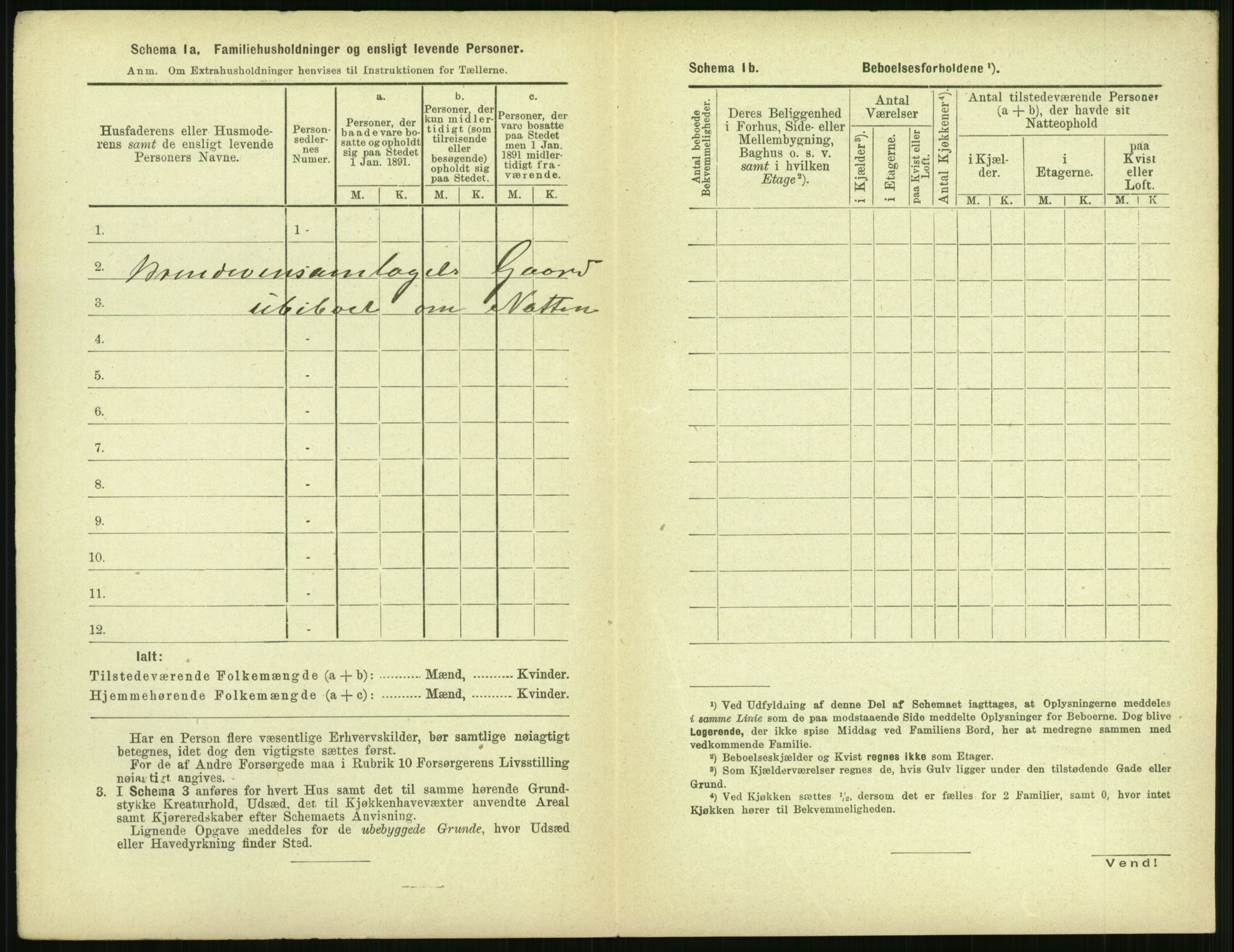 RA, 1891 census for 1702 Steinkjer, 1891, p. 1260