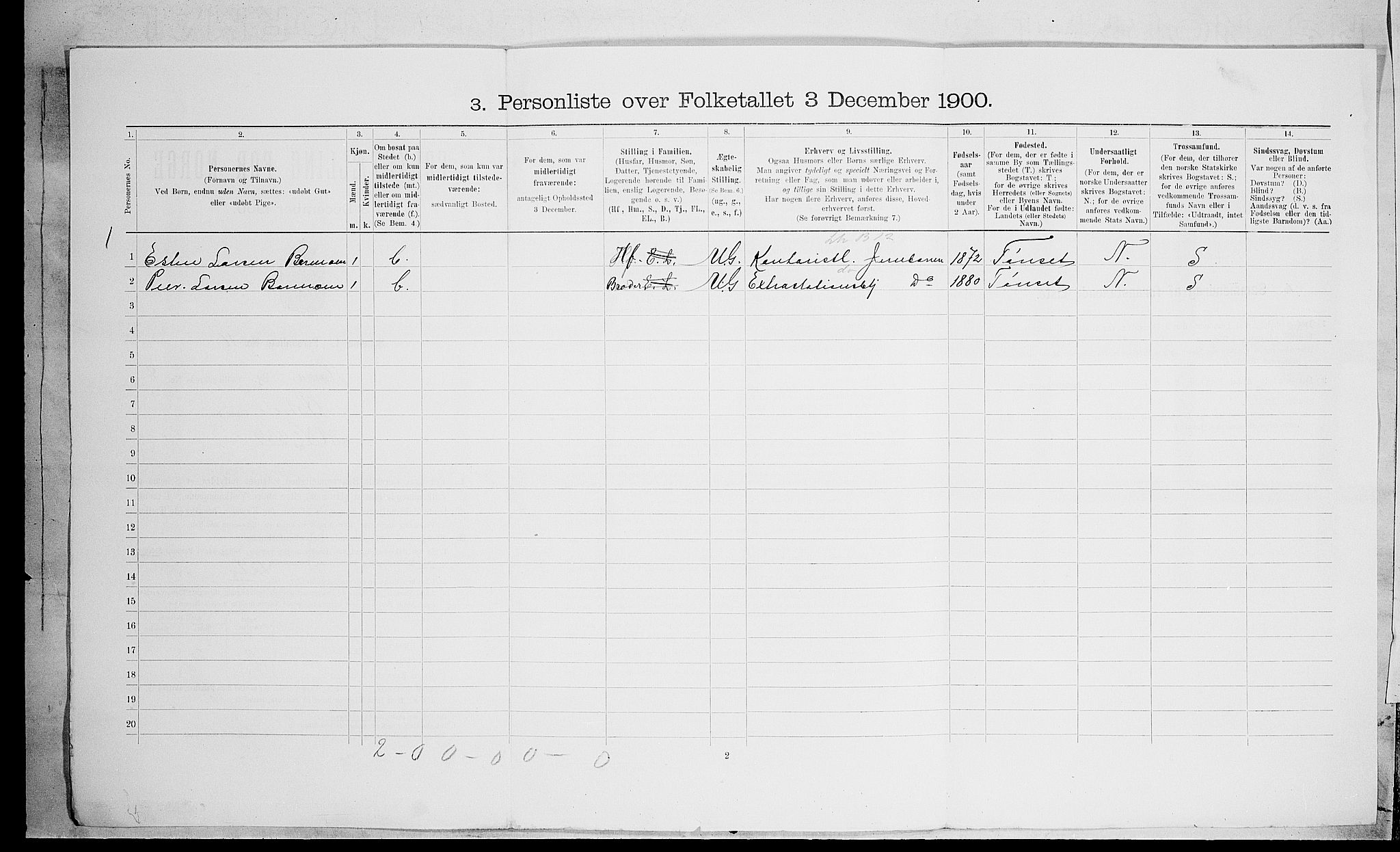 SAH, 1900 census for Hamar, 1900, p. 2517