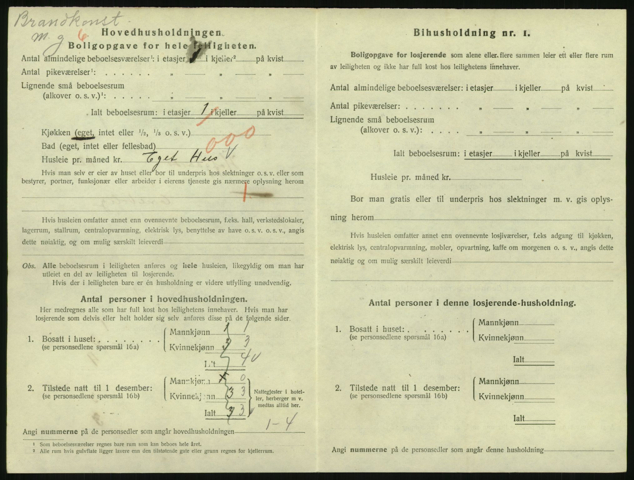 SAKO, 1920 census for Hønefoss, 1920, p. 1903