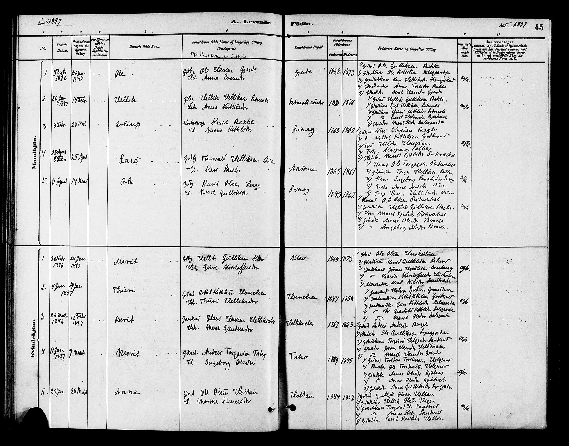 Flesberg kirkebøker, SAKO/A-18/F/Fc/L0001: Parish register (official) no. III 1, 1879-1905, p. 45