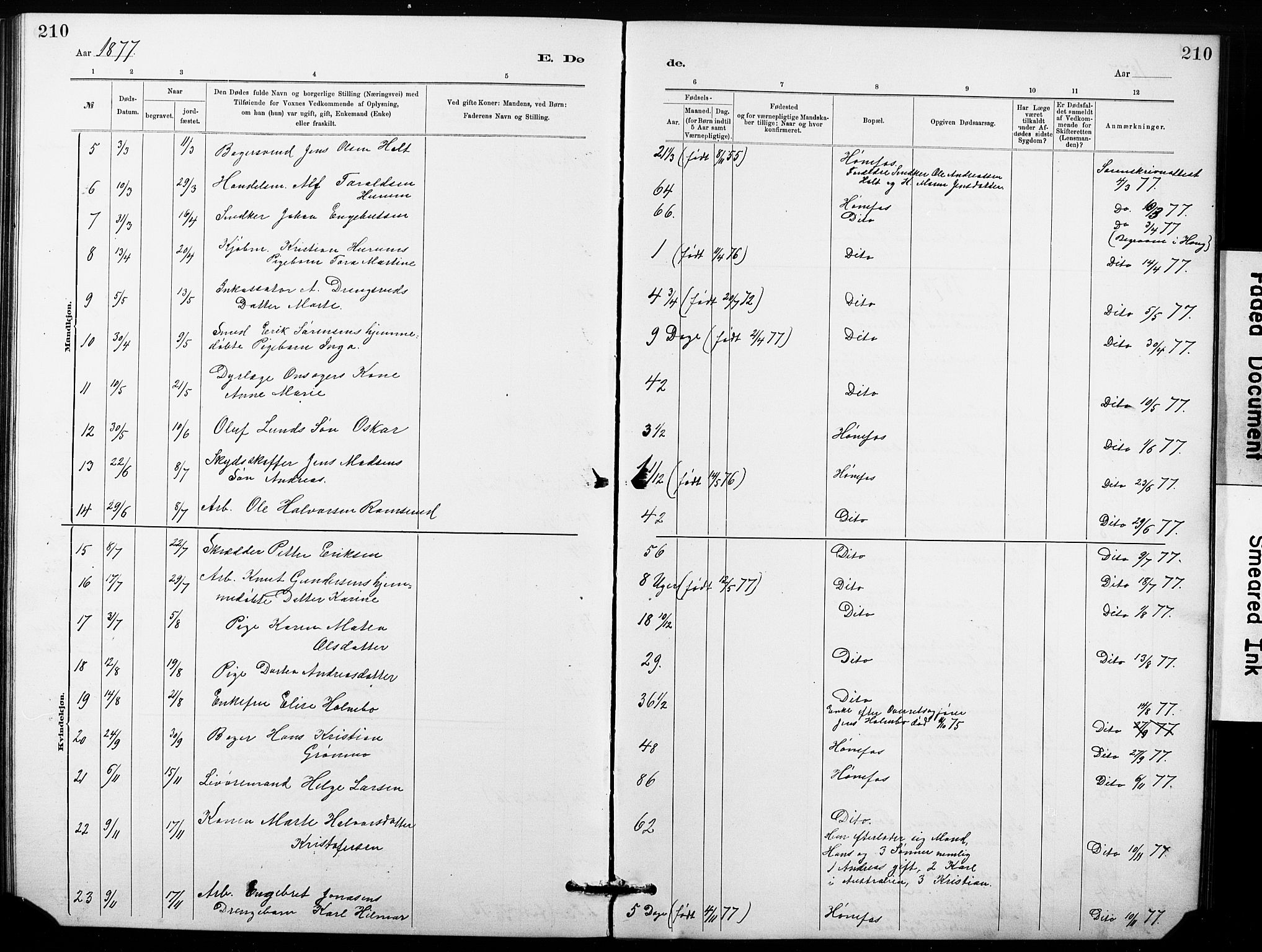 Hønefoss kirkebøker, SAKO/A-609/G/Ga/L0001: Parish register (copy) no. 1, 1870-1887, p. 210