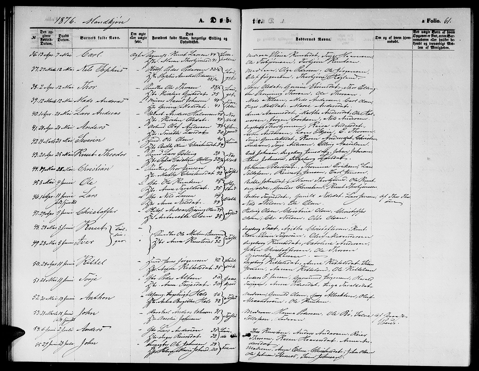 Holt sokneprestkontor, AV/SAK-1111-0021/F/Fb/L0009: Parish register (copy) no. B 9, 1871-1883, p. 61