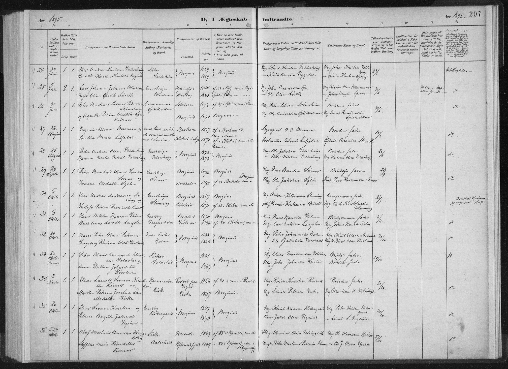 Ministerialprotokoller, klokkerbøker og fødselsregistre - Møre og Romsdal, AV/SAT-A-1454/528/L0405: Parish register (official) no. 528A14, 1891-1906, p. 207