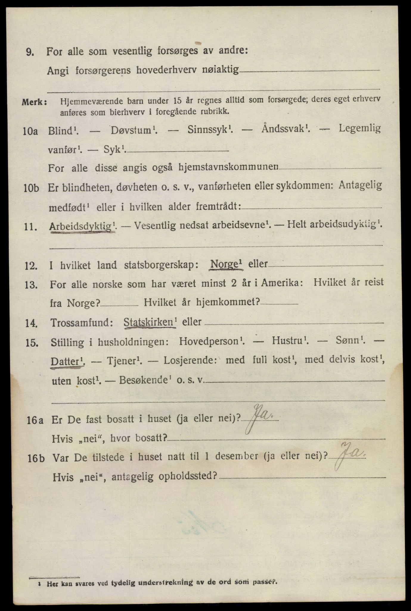 SAKO, 1920 census for Brunlanes, 1920, p. 3852
