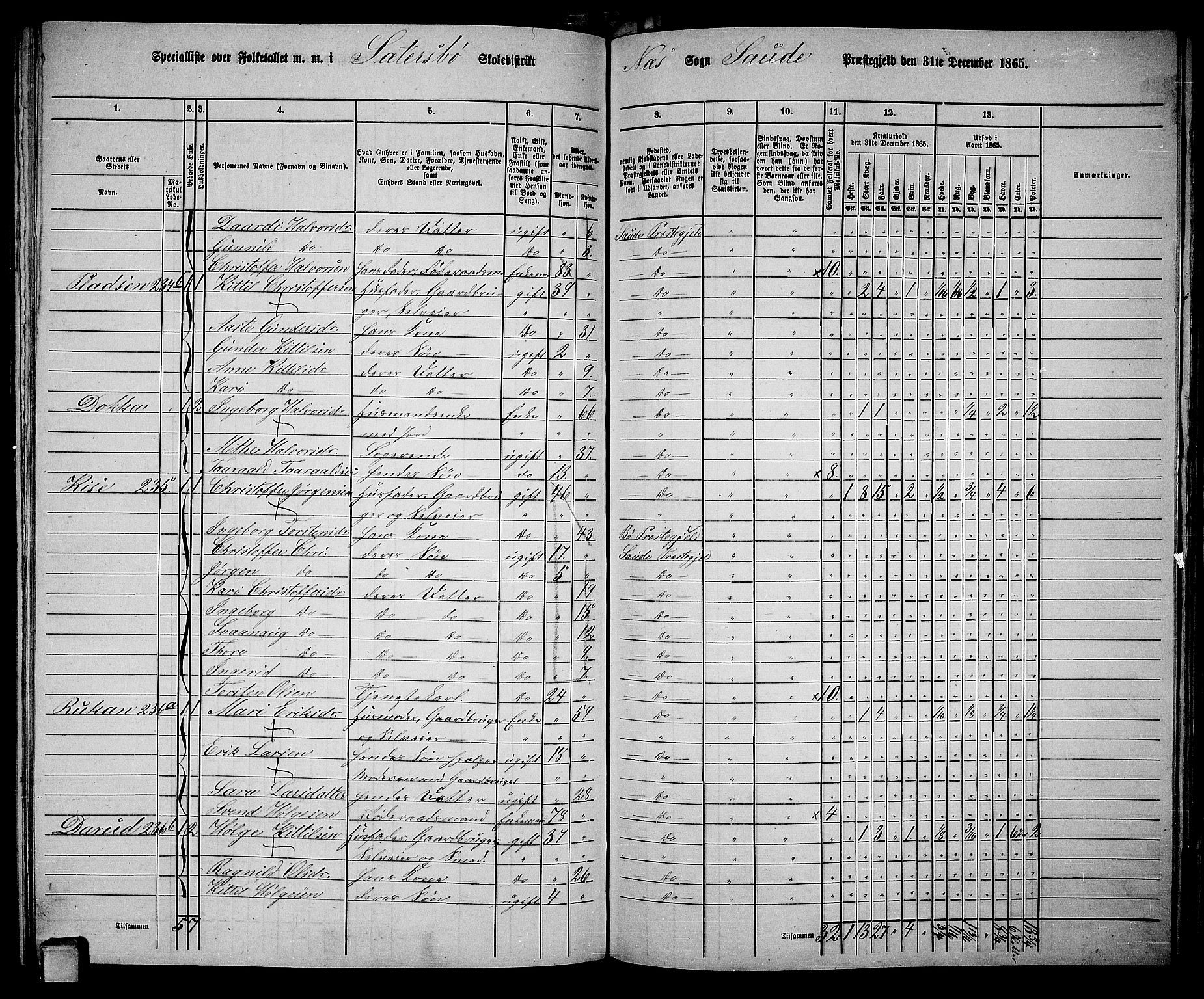 RA, 1865 census for Sauherad, 1865, p. 138