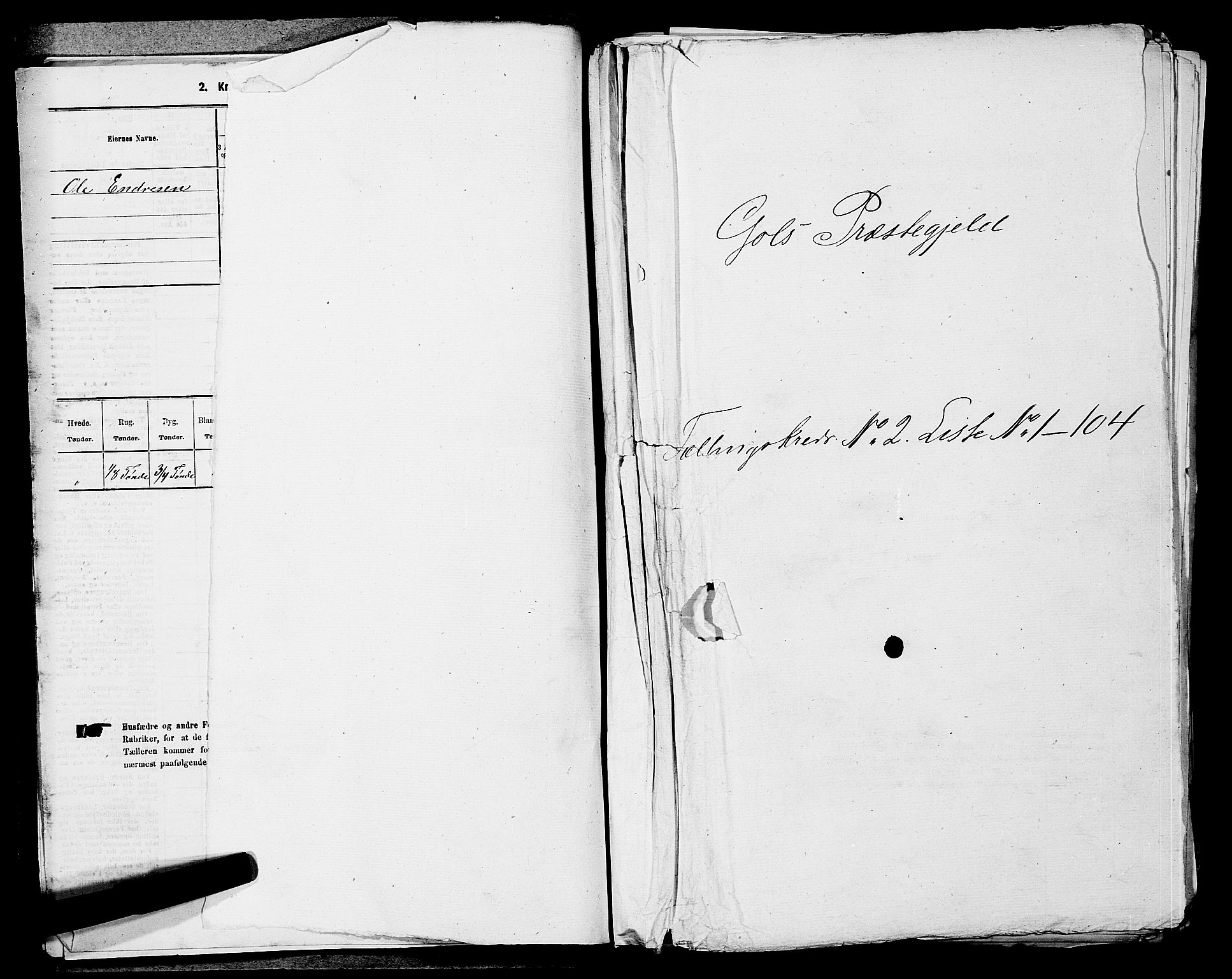 SAKO, 1875 census for 0617P Gol, 1875, p. 209