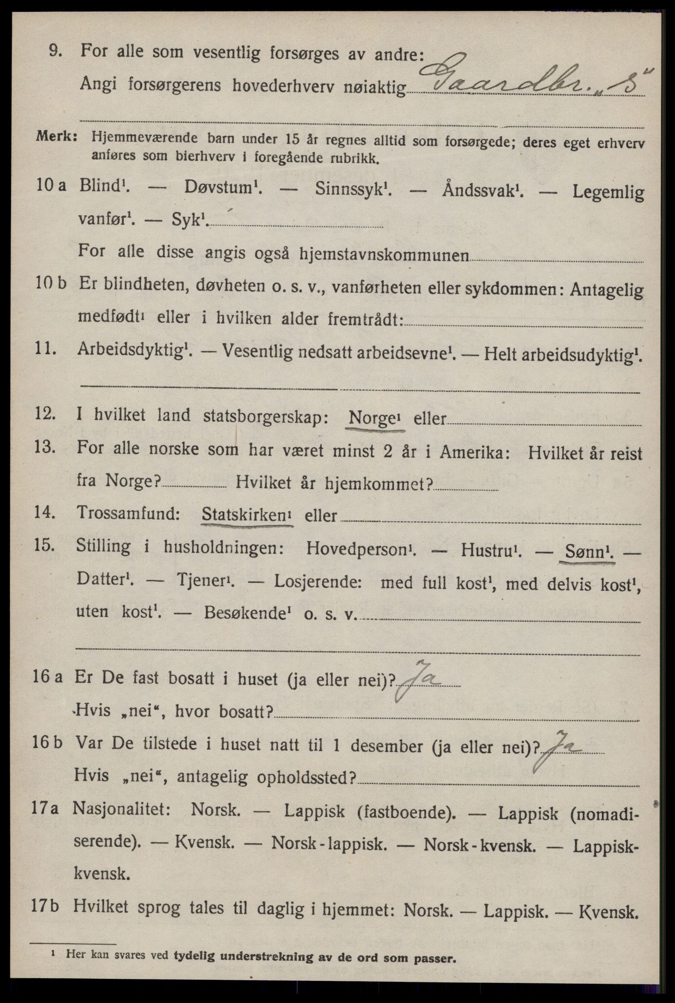 SAT, 1920 census for Soknedal, 1920, p. 1243