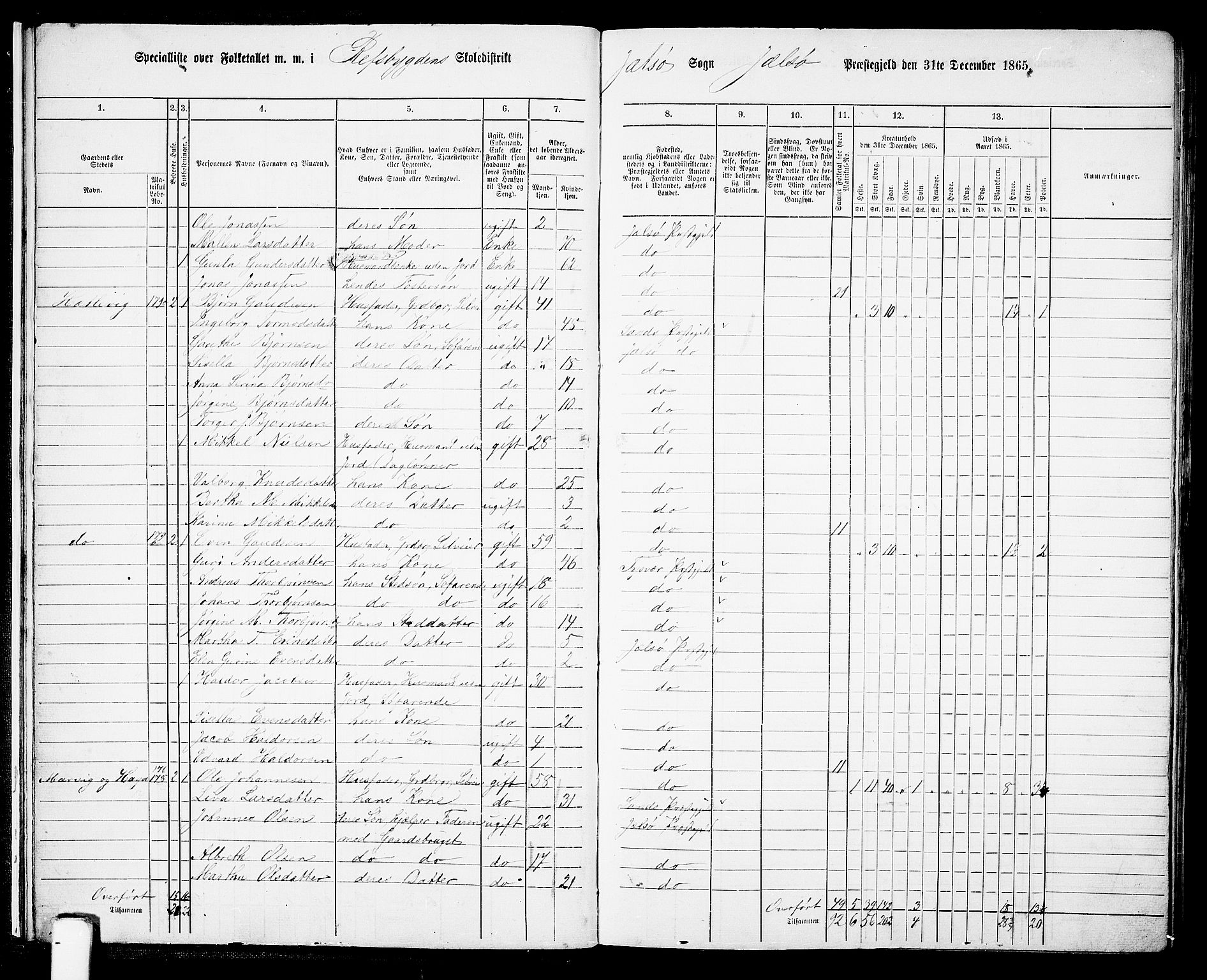 RA, 1865 census for Jelsa, 1865, p. 12