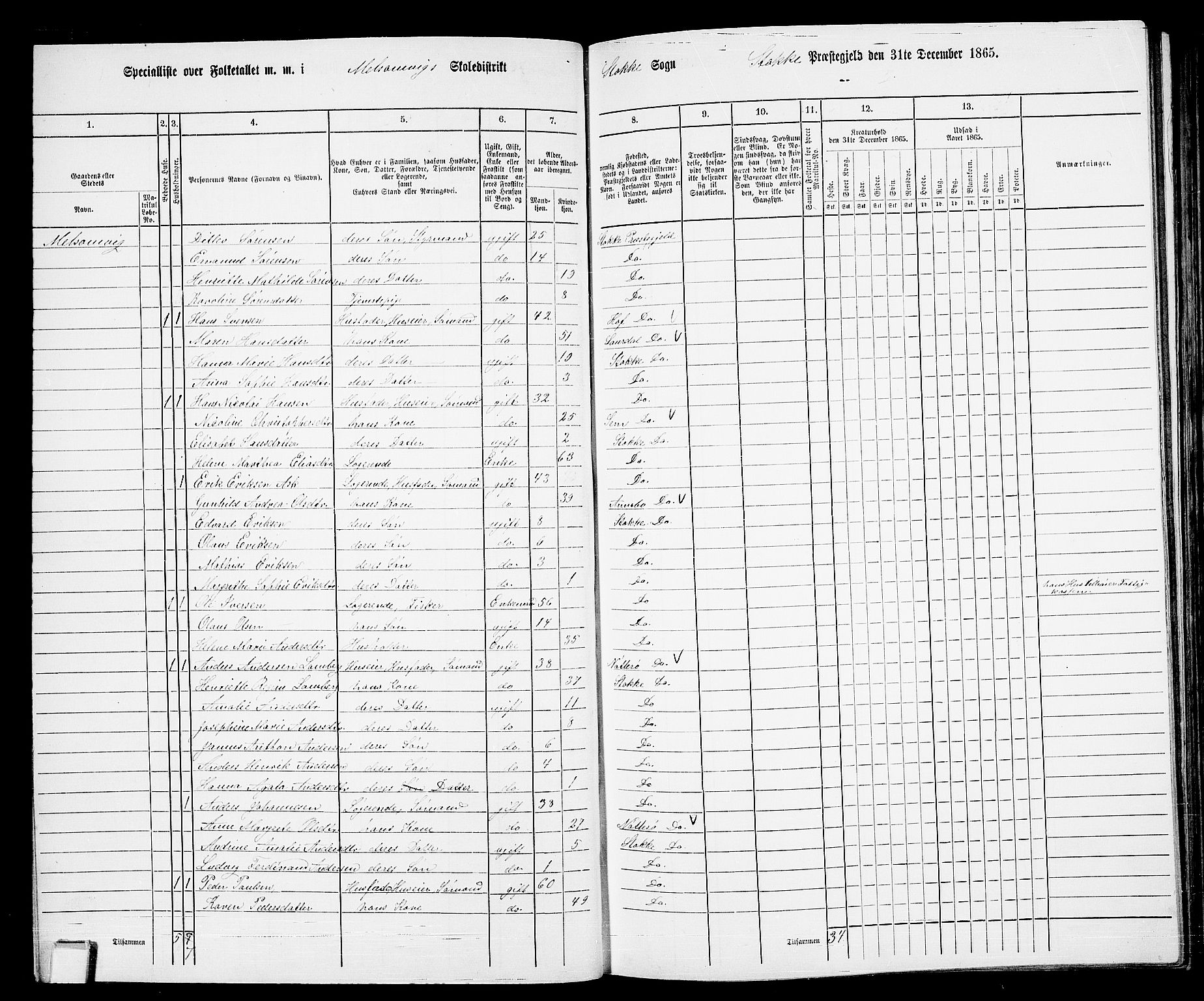 RA, 1865 census for Stokke, 1865, p. 43