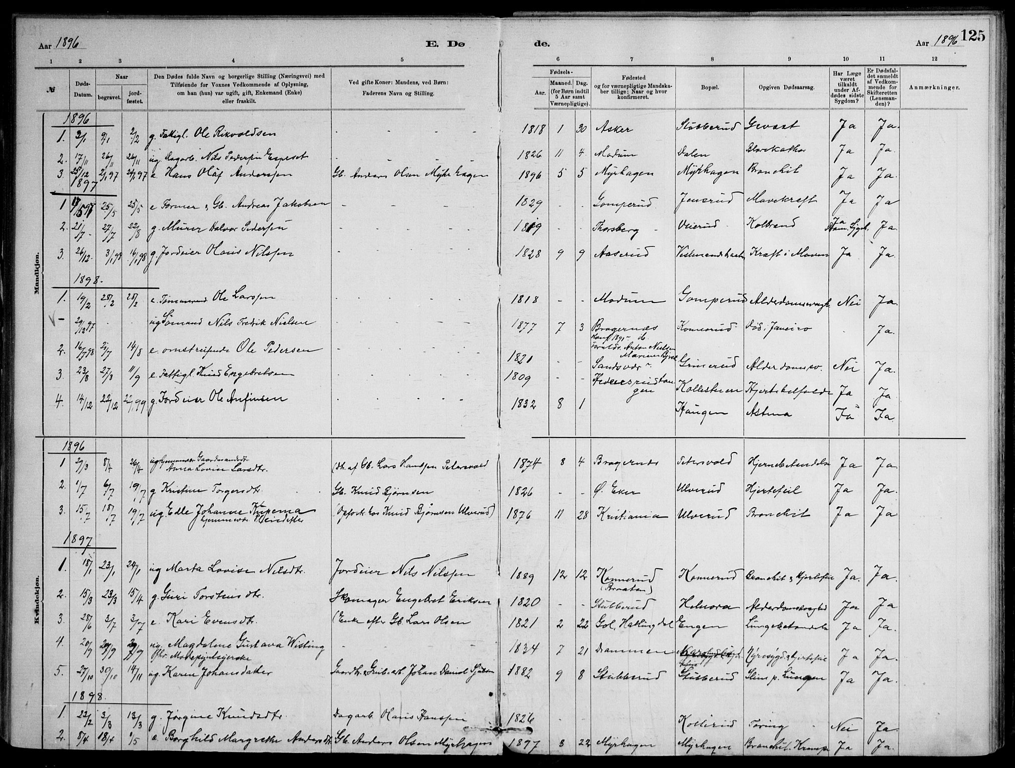 Skoger kirkebøker, AV/SAKO-A-59/F/Fb/L0001: Parish register (official) no. II 1, 1885-1913, p. 125