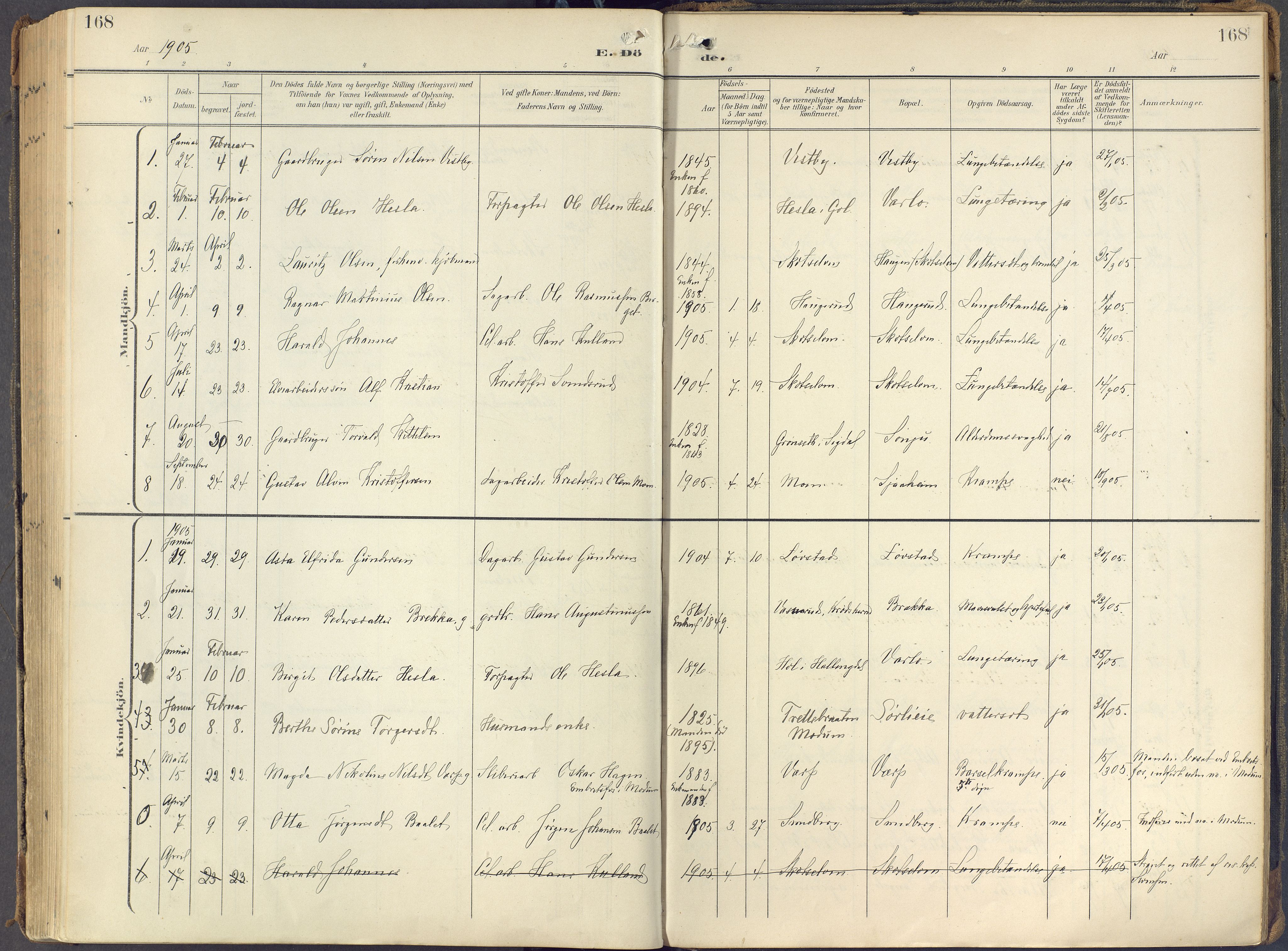 Eiker kirkebøker, AV/SAKO-A-4/F/Fc/L0004: Parish register (official) no. III 4, 1900-1919, p. 168