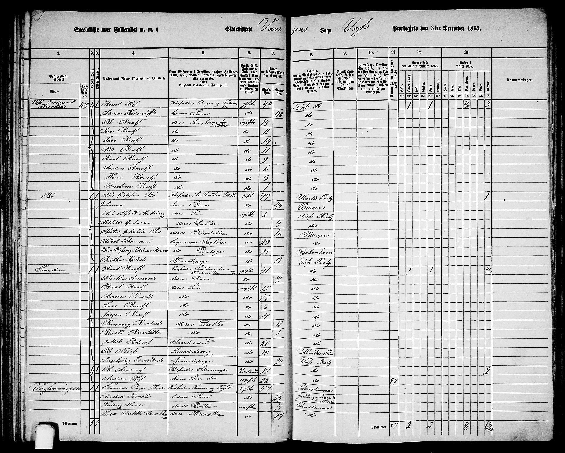RA, 1865 census for Voss, 1865, p. 58