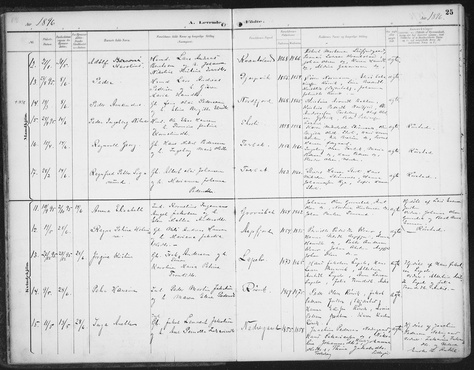 Ministerialprotokoller, klokkerbøker og fødselsregistre - Nordland, SAT/A-1459/854/L0779: Parish register (official) no. 854A02, 1892-1909, p. 25