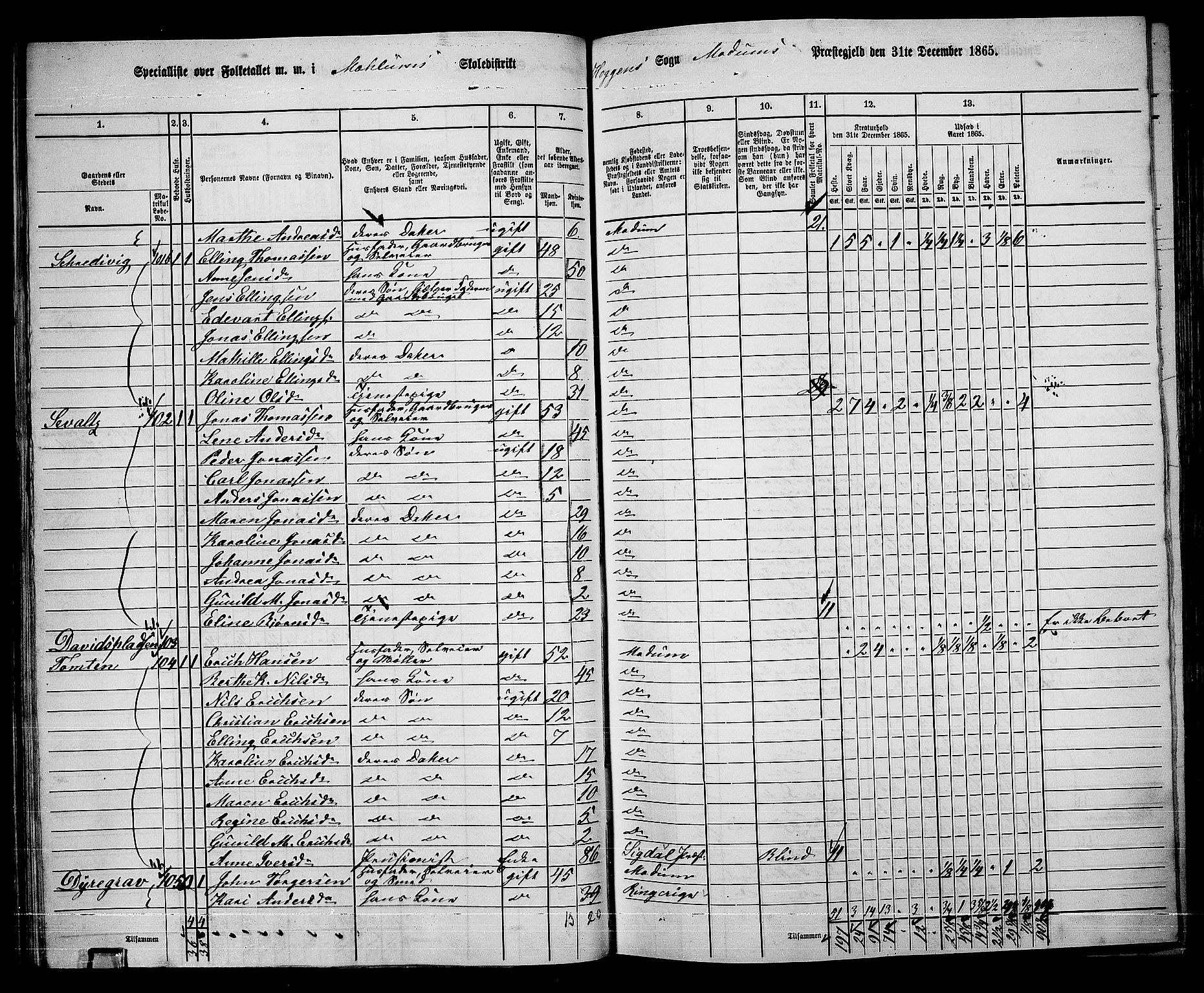 RA, 1865 census for Modum, 1865, p. 72