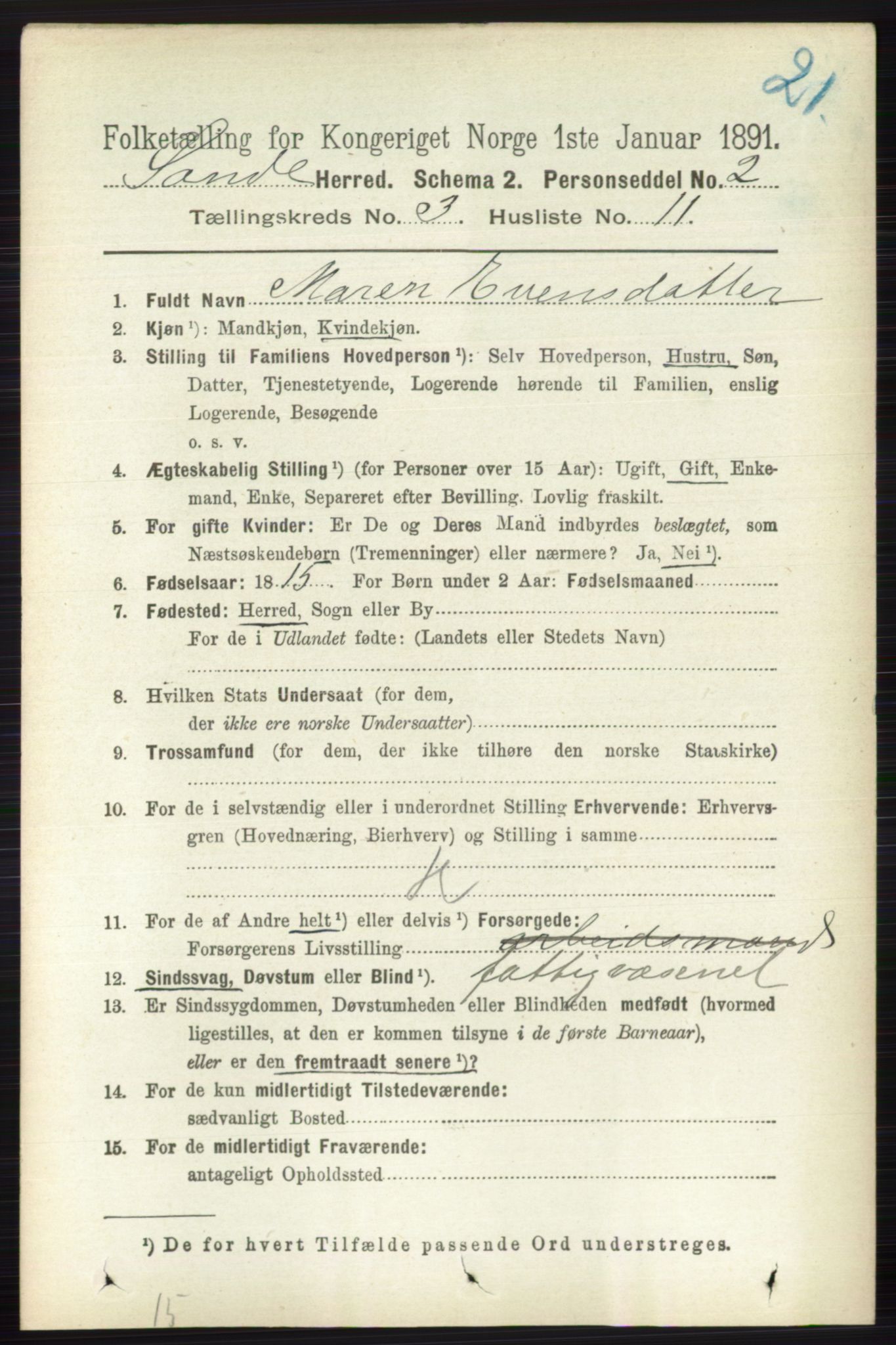 RA, 1891 census for 0713 Sande, 1891, p. 1004