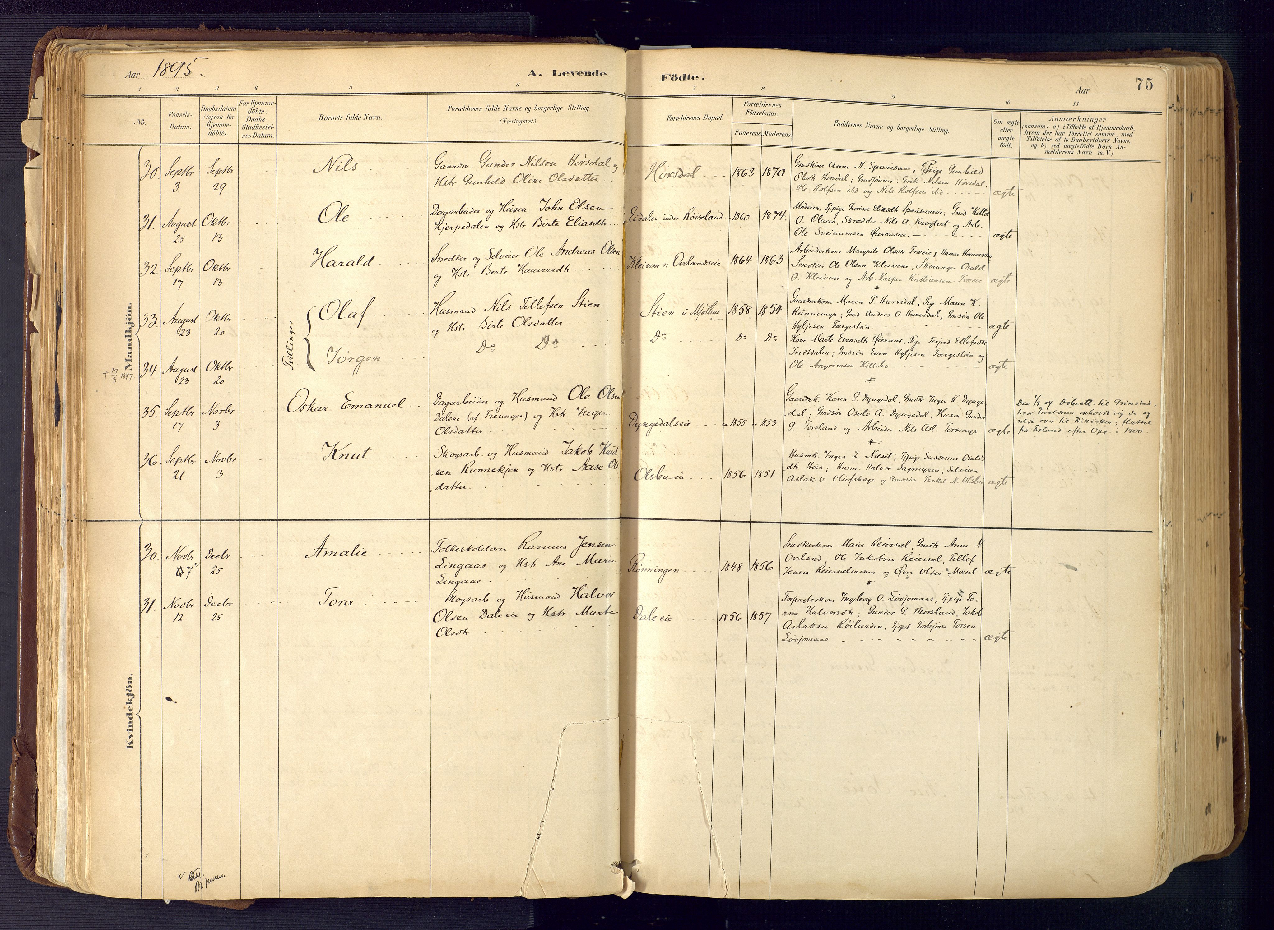 Froland sokneprestkontor, SAK/1111-0013/F/Fa/L0005: Parish register (official) no. A 5, 1882-1921, p. 75