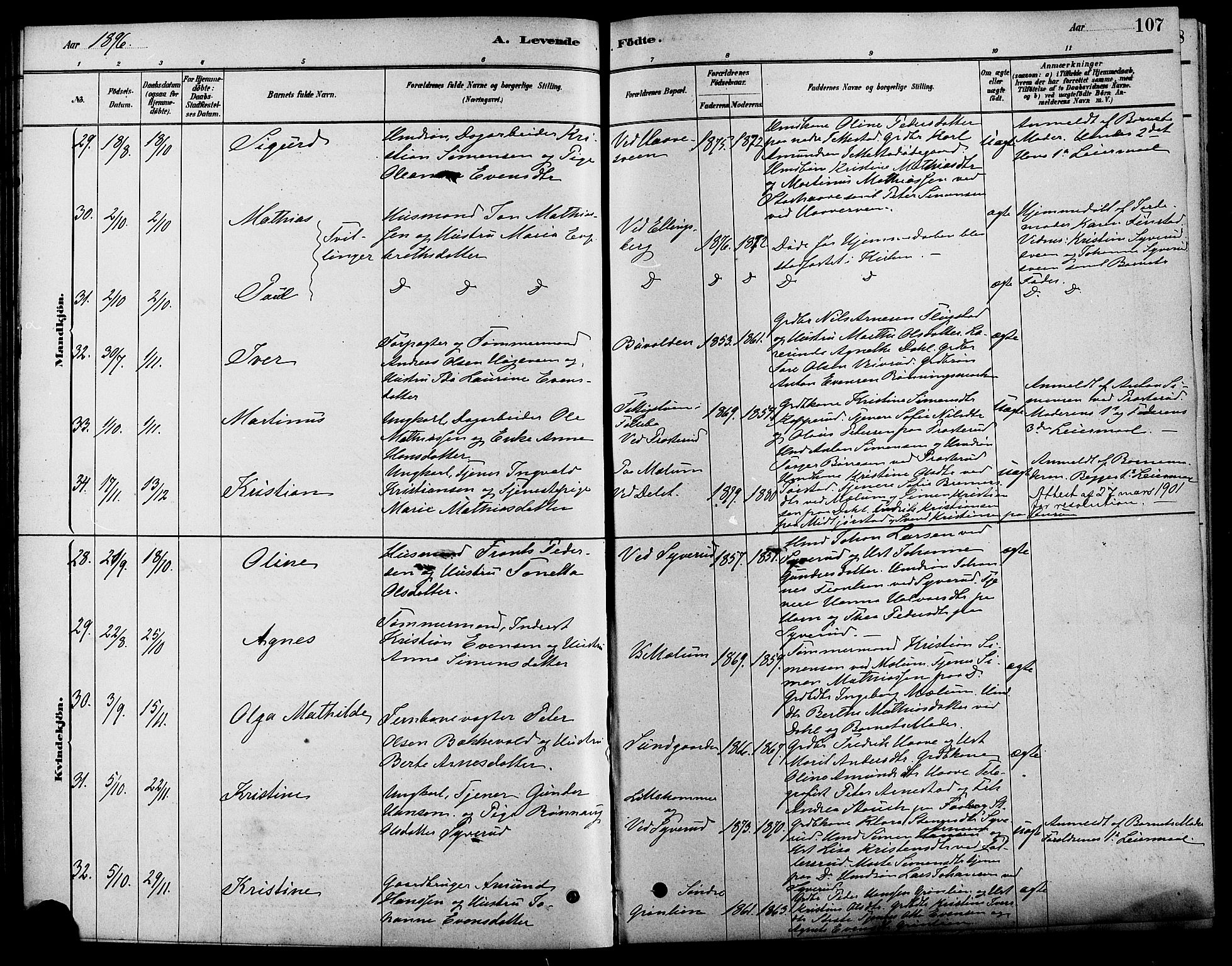 Fåberg prestekontor, AV/SAH-PREST-086/H/Ha/Haa/L0008: Parish register (official) no. 8, 1879-1898, p. 107