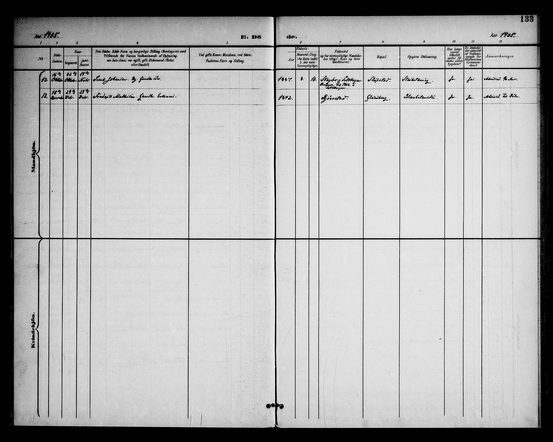 Rødenes prestekontor Kirkebøker, AV/SAO-A-2005/F/Fa/L0011: Parish register (official) no. I 11, 1901-1910, p. 133