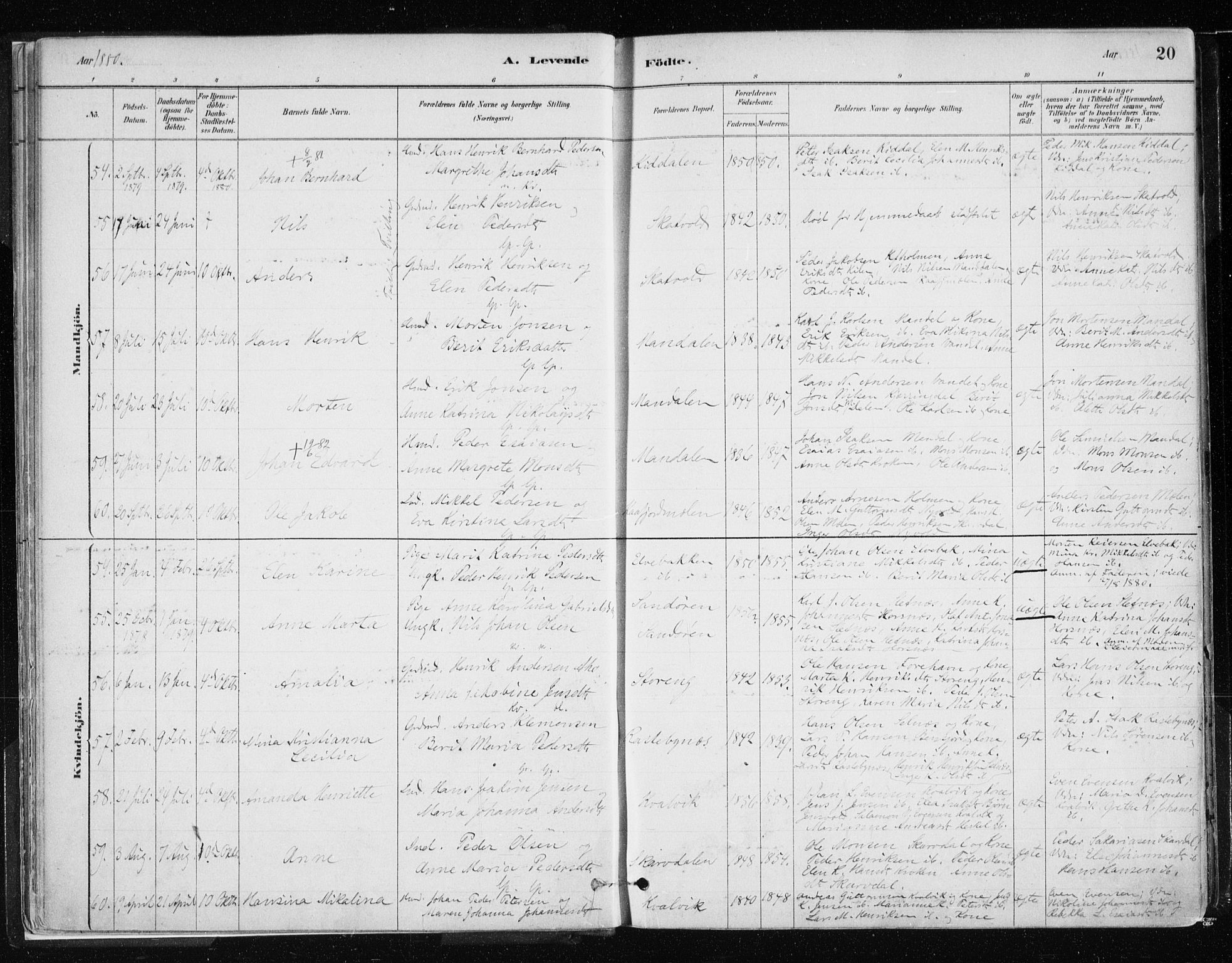 Lyngen sokneprestembete, AV/SATØ-S-1289/H/He/Hea/L0007kirke: Parish register (official) no. 7, 1879-1890, p. 20