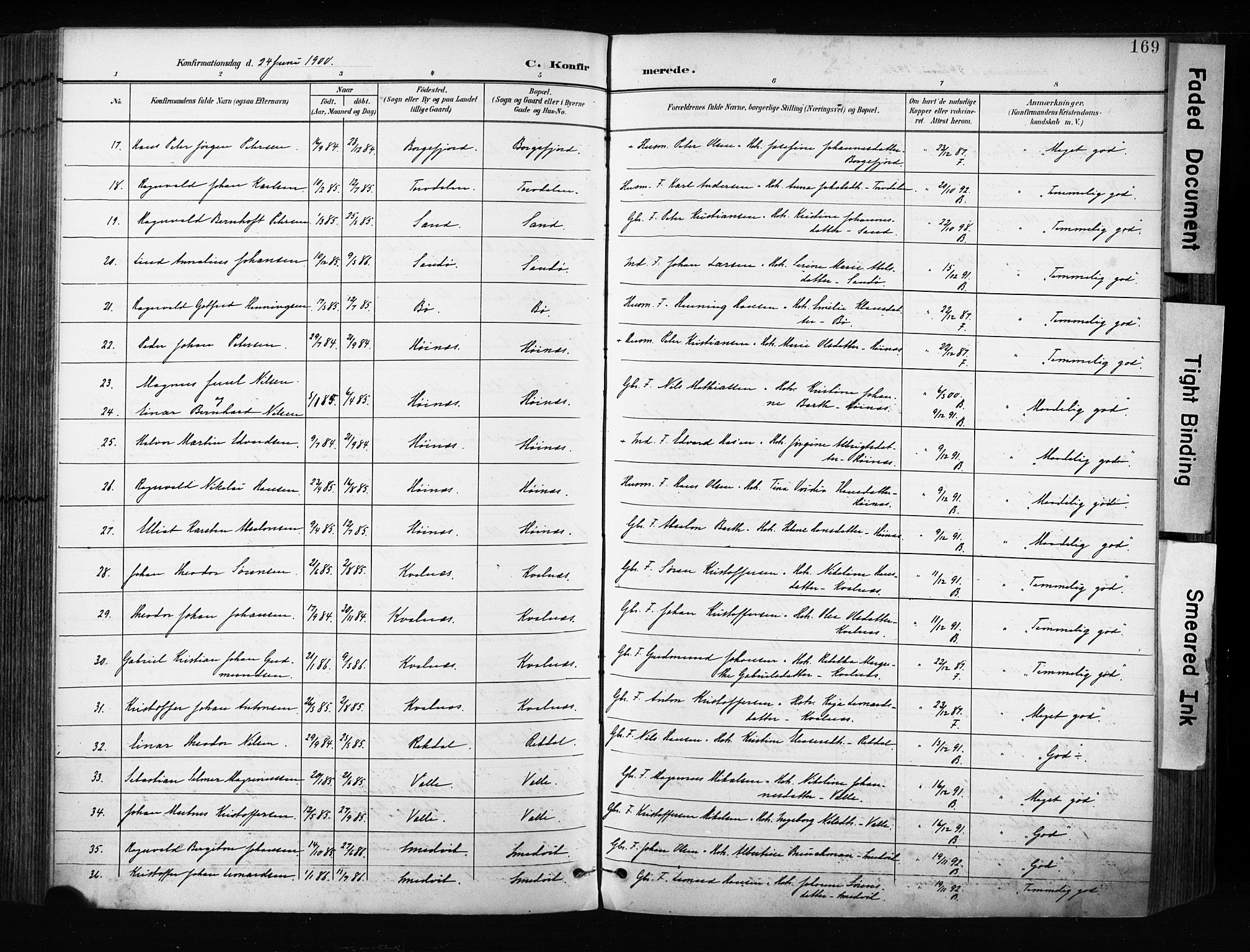 Ministerialprotokoller, klokkerbøker og fødselsregistre - Nordland, AV/SAT-A-1459/880/L1134: Parish register (official) no. 880A08, 1899-1908, p. 169