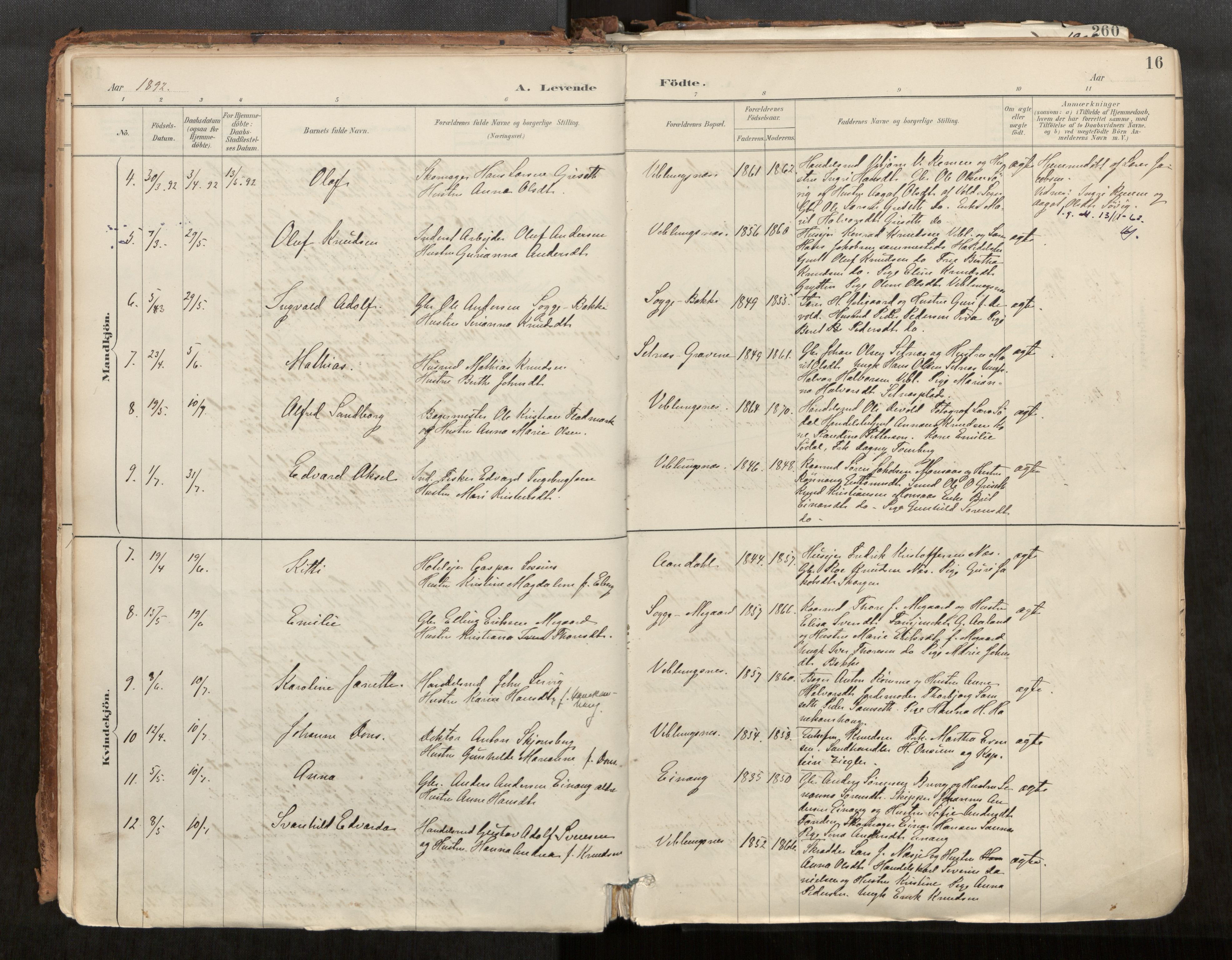 Ministerialprotokoller, klokkerbøker og fødselsregistre - Møre og Romsdal, AV/SAT-A-1454/544/L0585: Parish register (official) no. 544A06, 1887-1924, p. 16