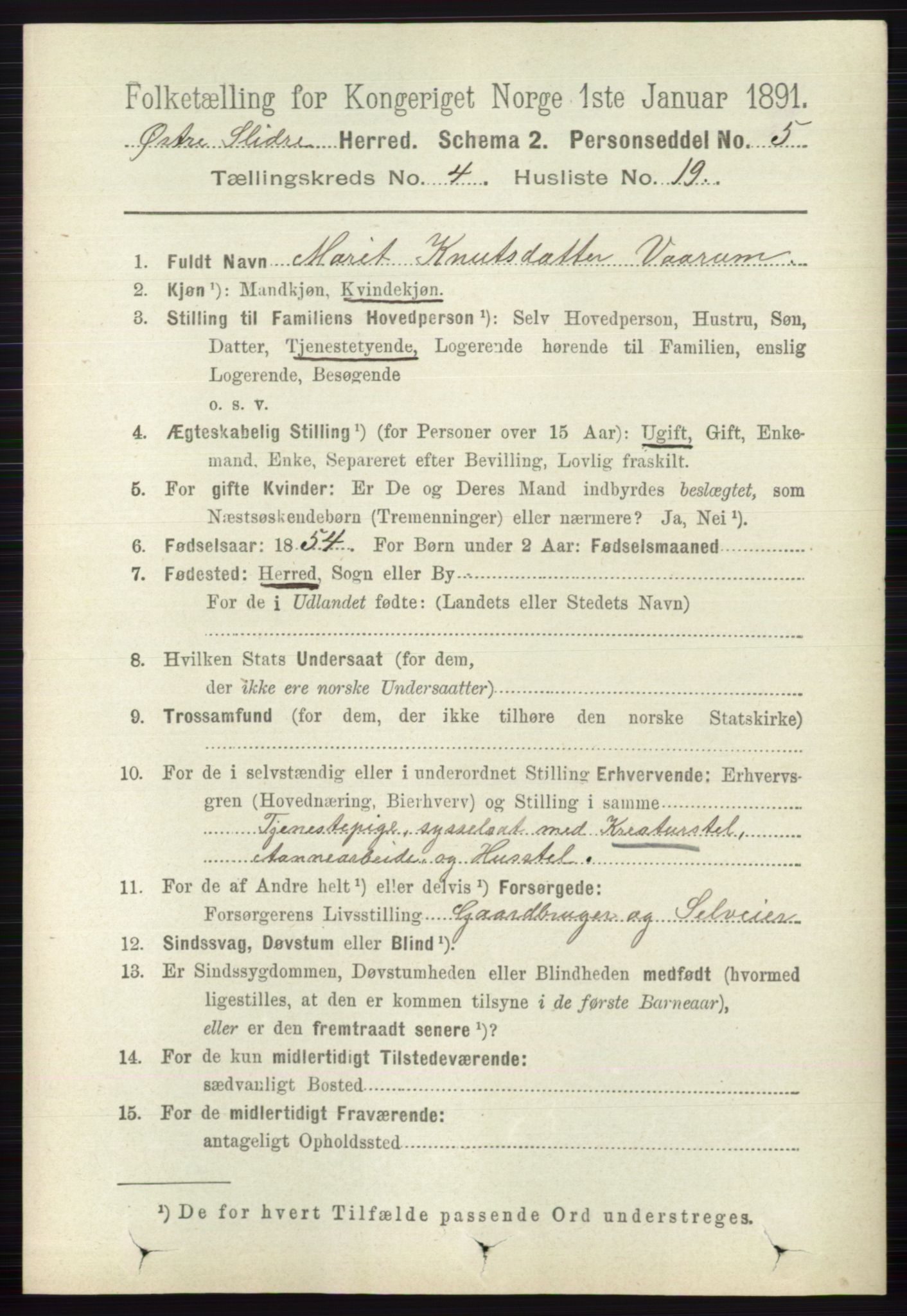 RA, 1891 census for 0544 Øystre Slidre, 1891, p. 1301