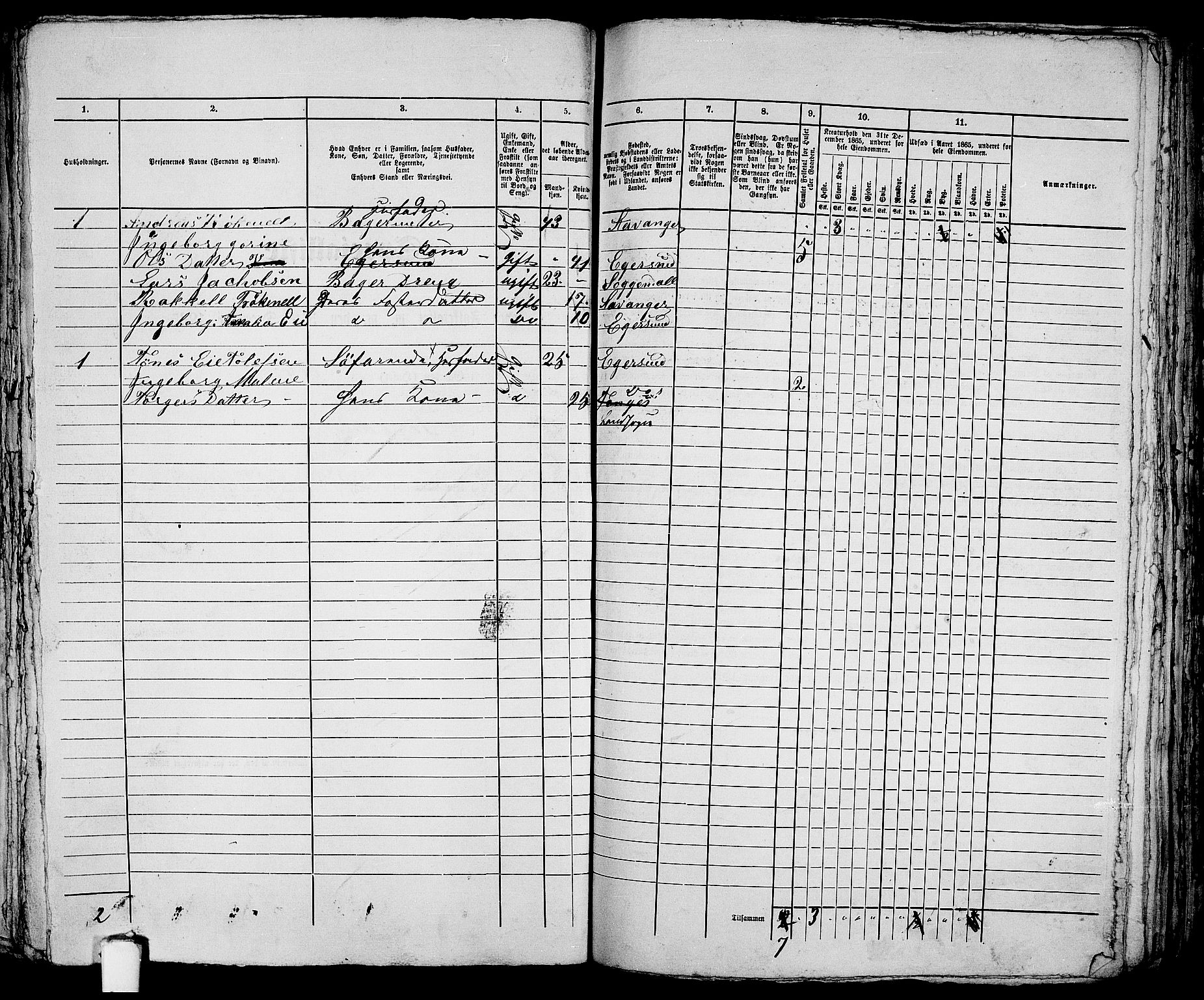 RA, 1865 census for Eigersund parish, Egersund town, 1865, p. 345