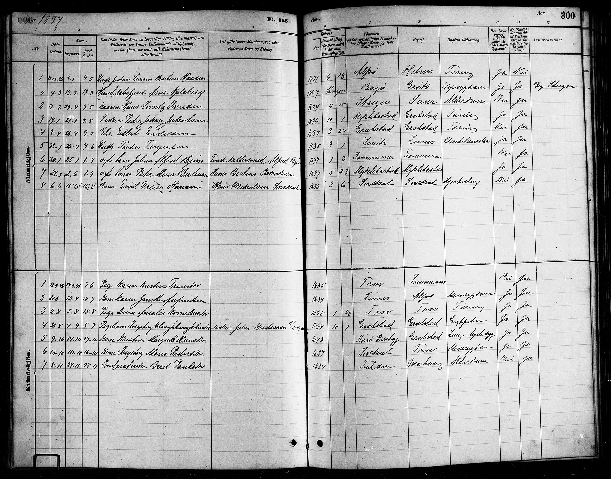 Ministerialprotokoller, klokkerbøker og fødselsregistre - Nordland, AV/SAT-A-1459/857/L0828: Parish register (copy) no. 857C03, 1879-1908, p. 300