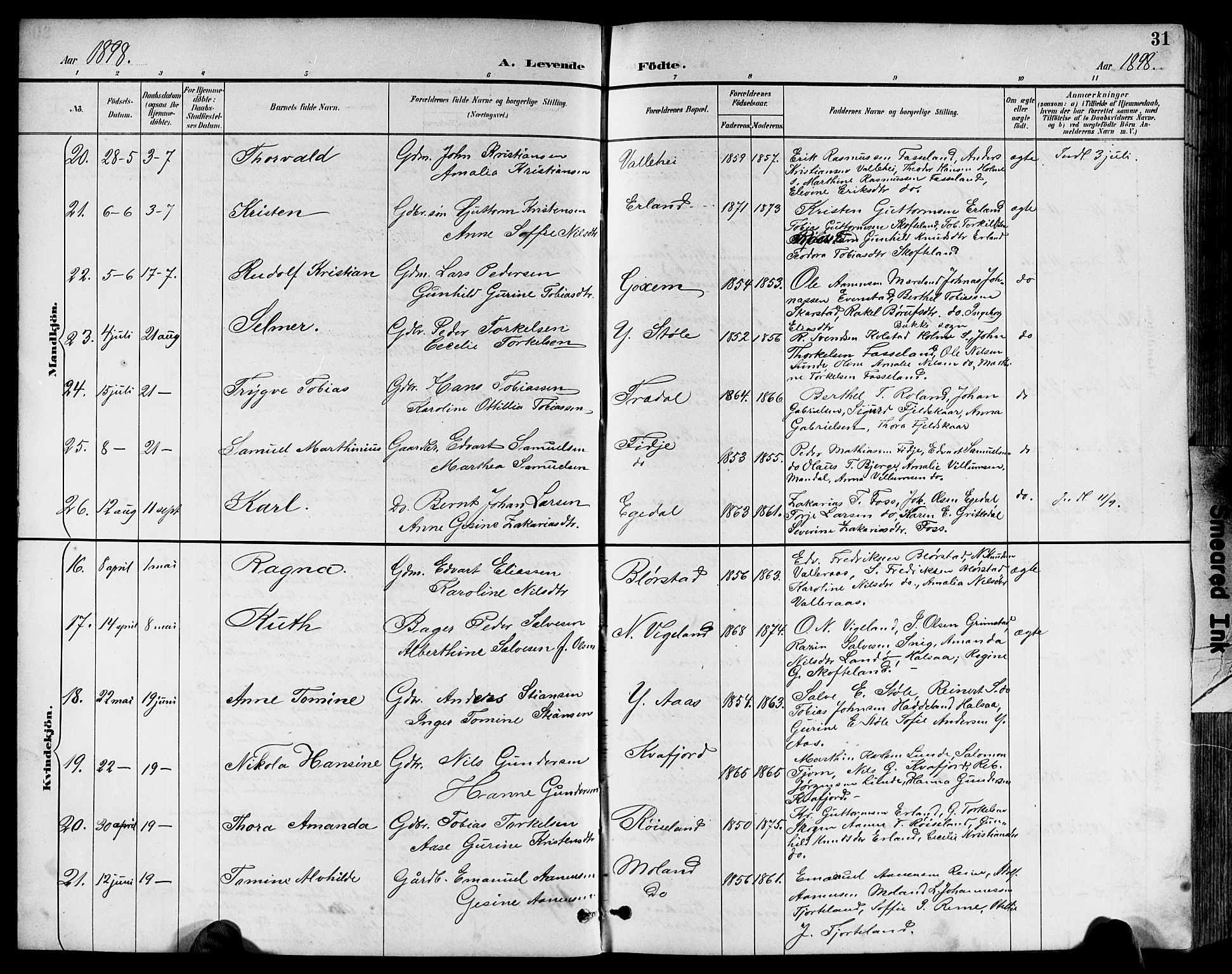 Sør-Audnedal sokneprestkontor, AV/SAK-1111-0039/F/Fb/Fbb/L0006: Parish register (copy) no. B 6, 1893-1915, p. 31