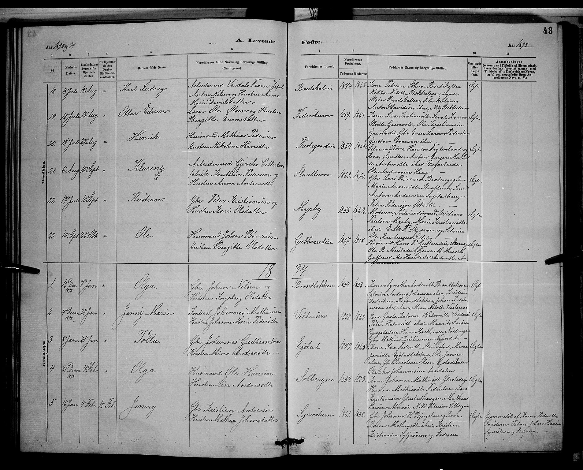 Vardal prestekontor, SAH/PREST-100/H/Ha/Hab/L0008: Parish register (copy) no. 8, 1881-1898, p. 43