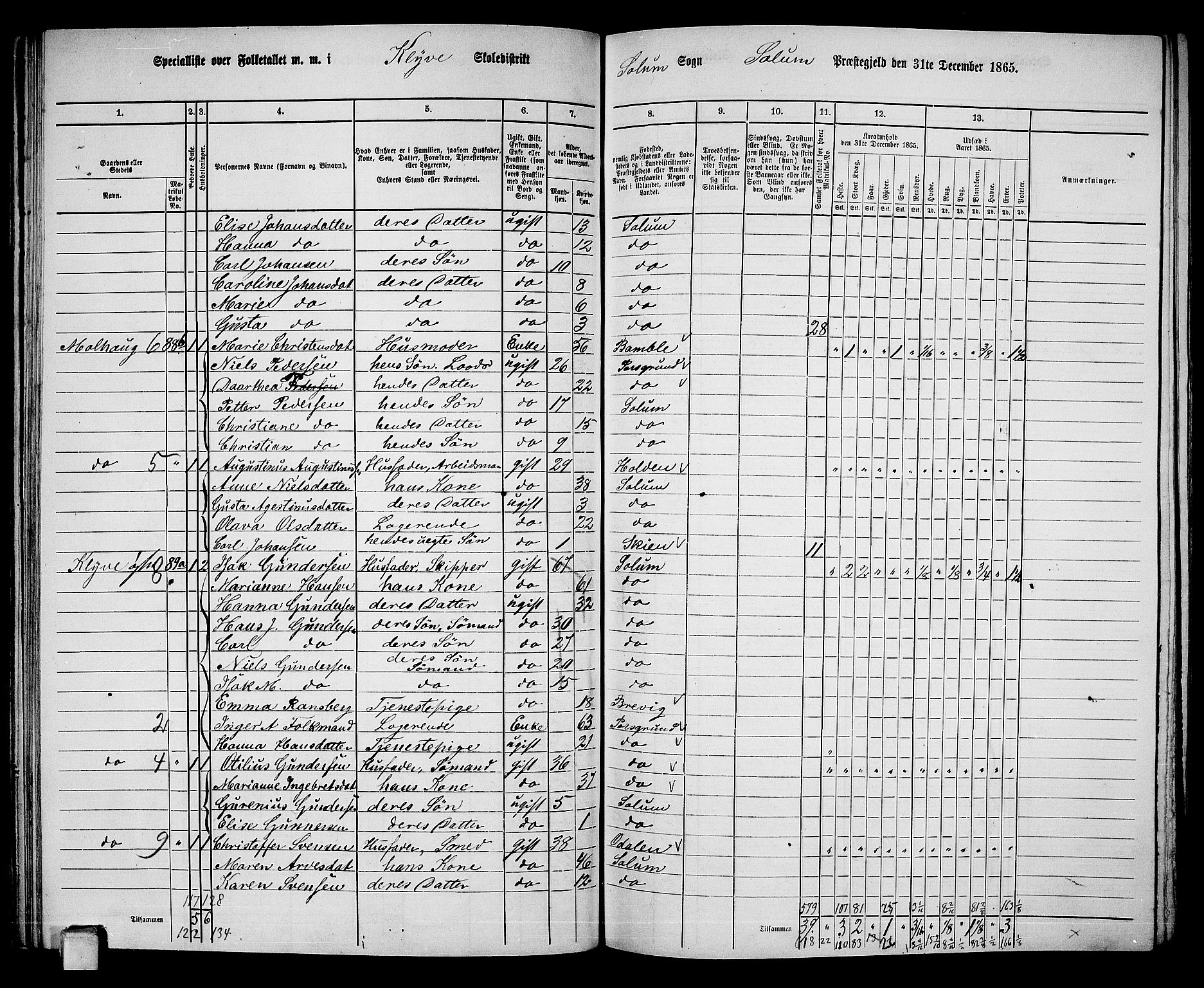 RA, 1865 census for Solum, 1865, p. 91