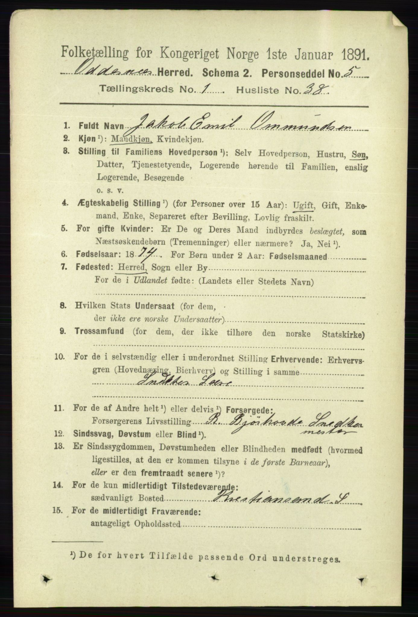 RA, 1891 census for 1012 Oddernes, 1891, p. 319