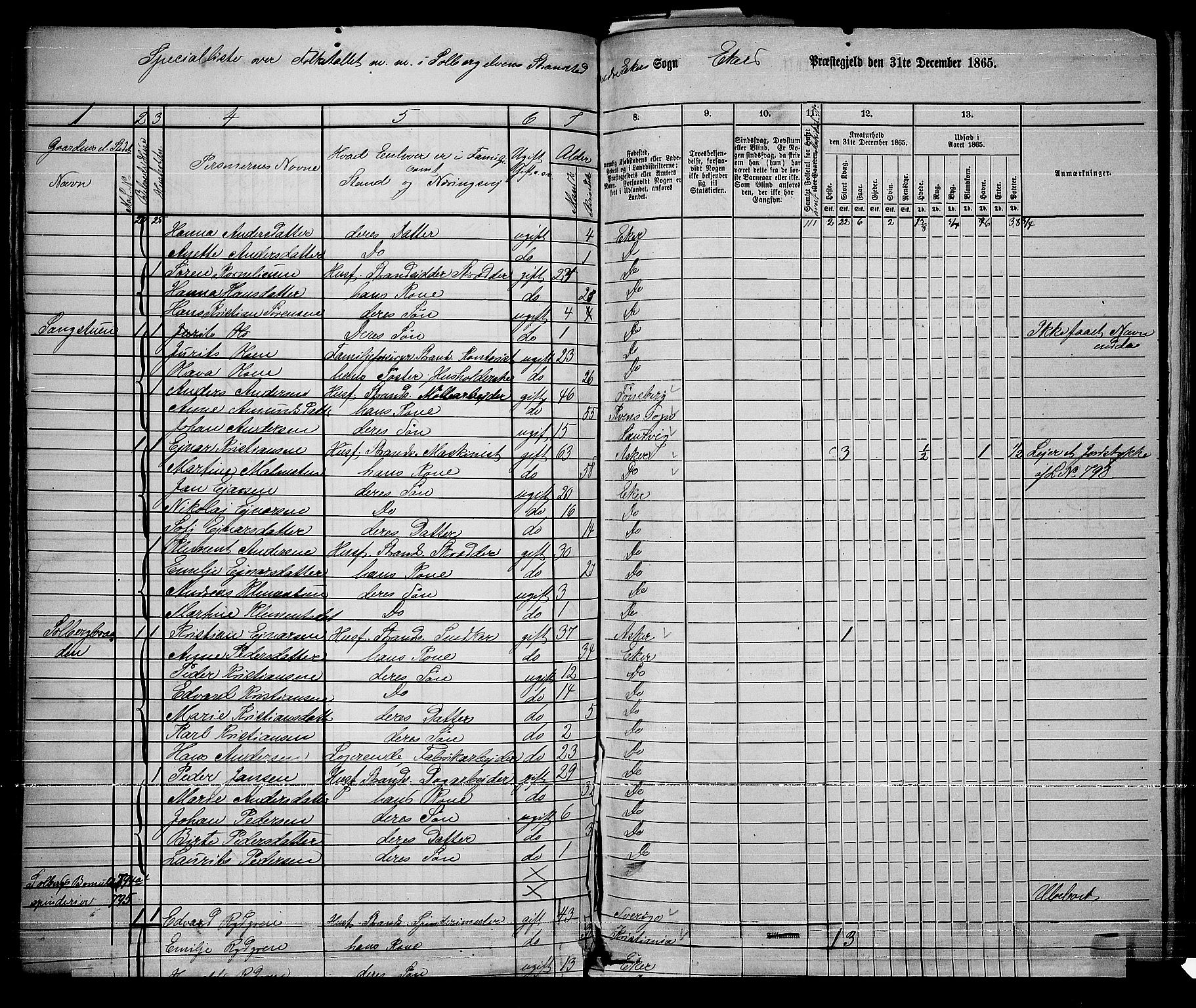 RA, 1865 census for Eiker, 1865, p. 363